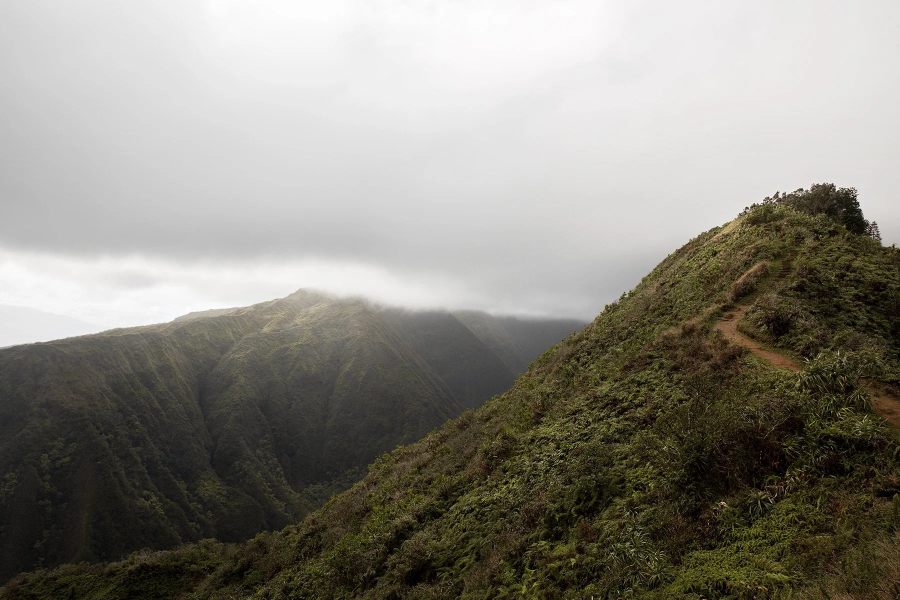 CM-MAUI-162.jpg