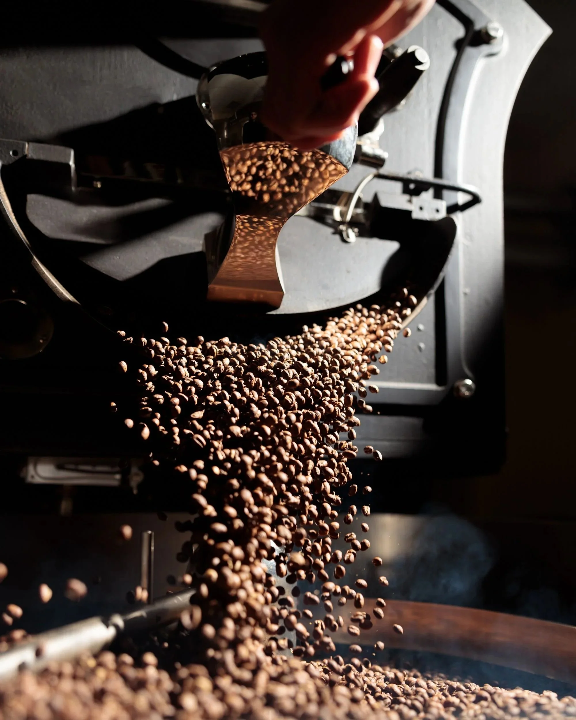 Close-up of roasted coffee beans being poured from a metal scoop onto a tray, with a dark background and dramatic lighting.