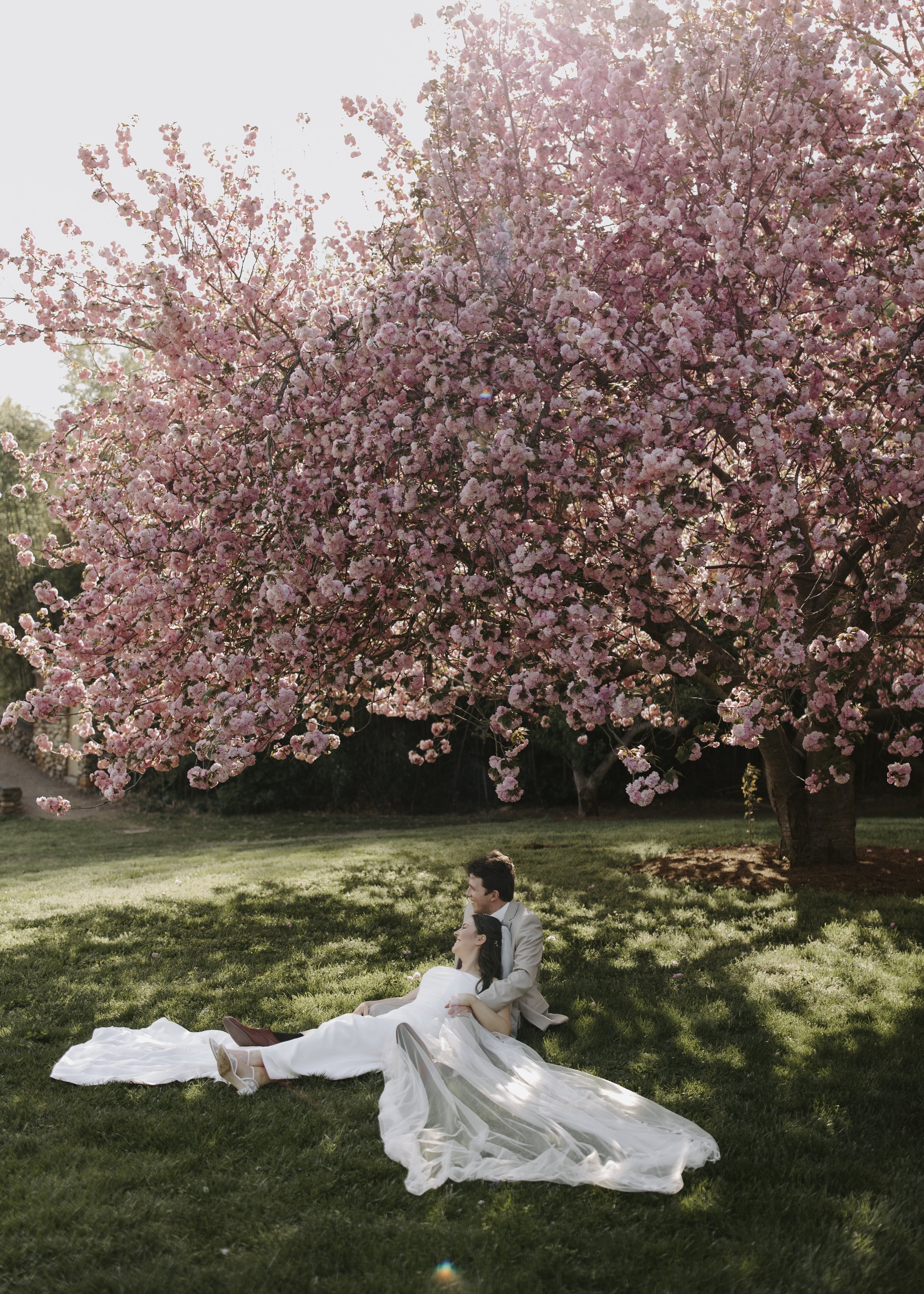 Bride and groom under tree at iconic NC park on wedding day
