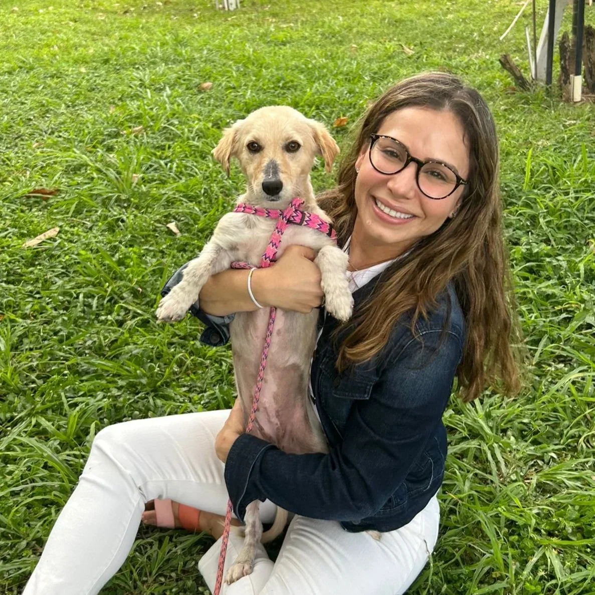 A woman with long brown hair, glasses, and a denim jacket sitting on grass, smiling and holding a small dog with a pink harness, outdoors in a grassy area.