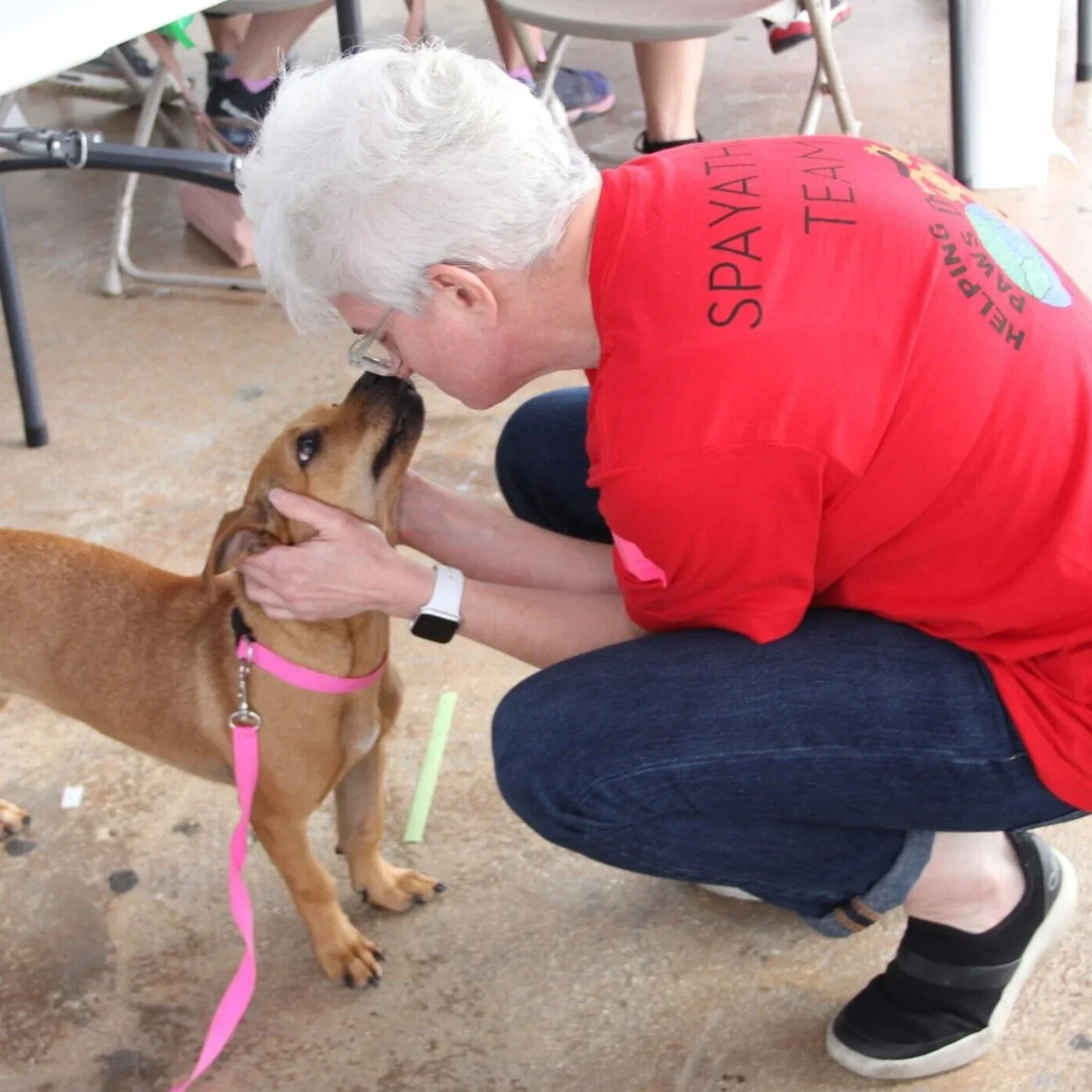 A woman with gray hair squatting and holding a brown dog with a pink leash. She is touching the dog's face and nose, and they are looking at each other. The woman is wearing a red shirt with black text and a logo, and the setting appears to be indoors with chairs and people in the background.