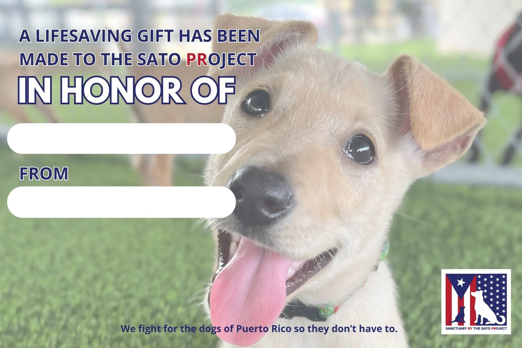 A puppy with tan fur and big dark eyes, sticking out its tongue against a blurred outdoor background, promoting a donation campaign for dogs of Puerto Rico.