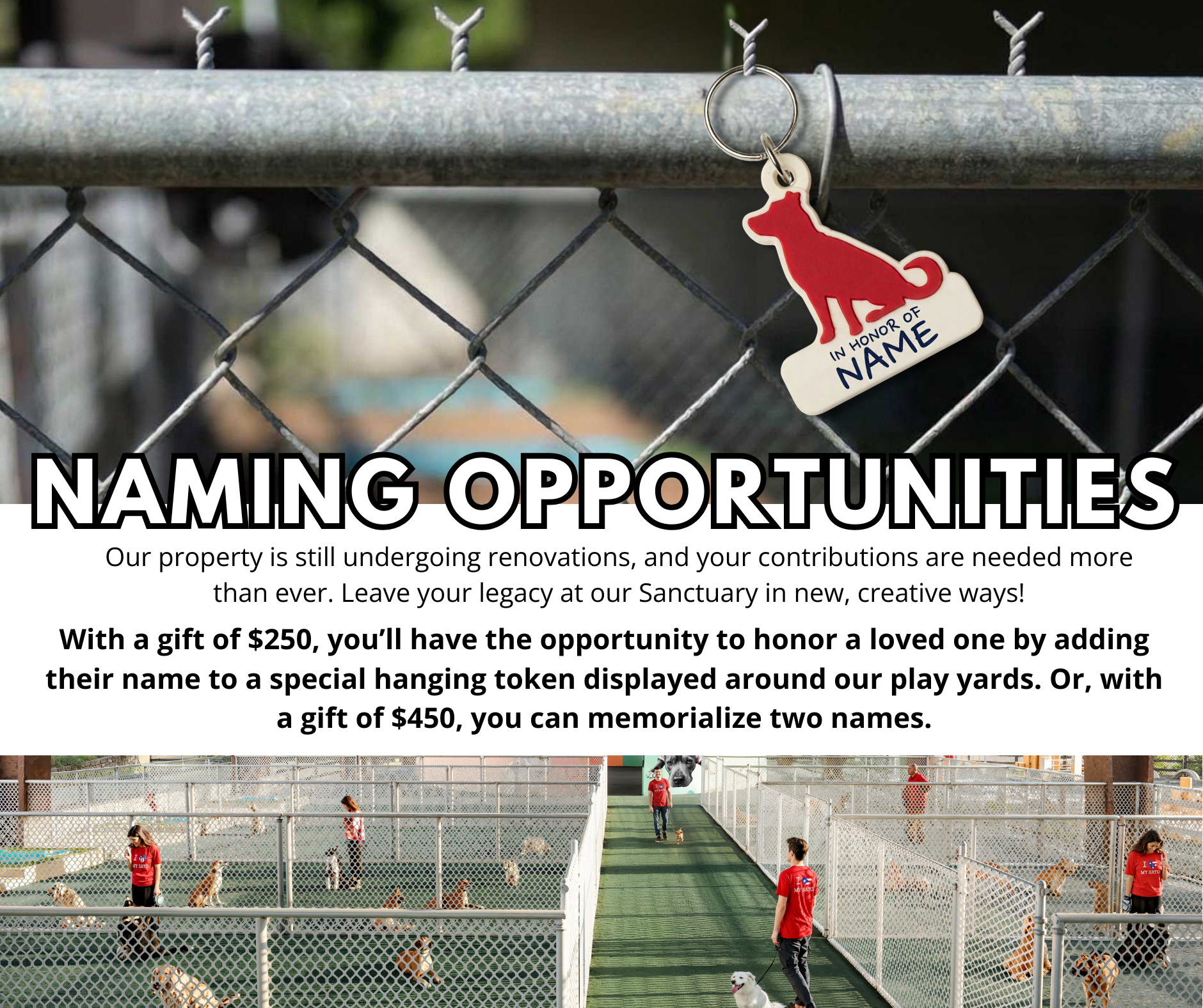 A flyer about a donation campaign for an animal sanctuary shows a dog collar with a red dog-shaped ornament that has space for engraving a name, hanging on a chain-link fence, with a dog kennel with dogs and caretakers in the background.