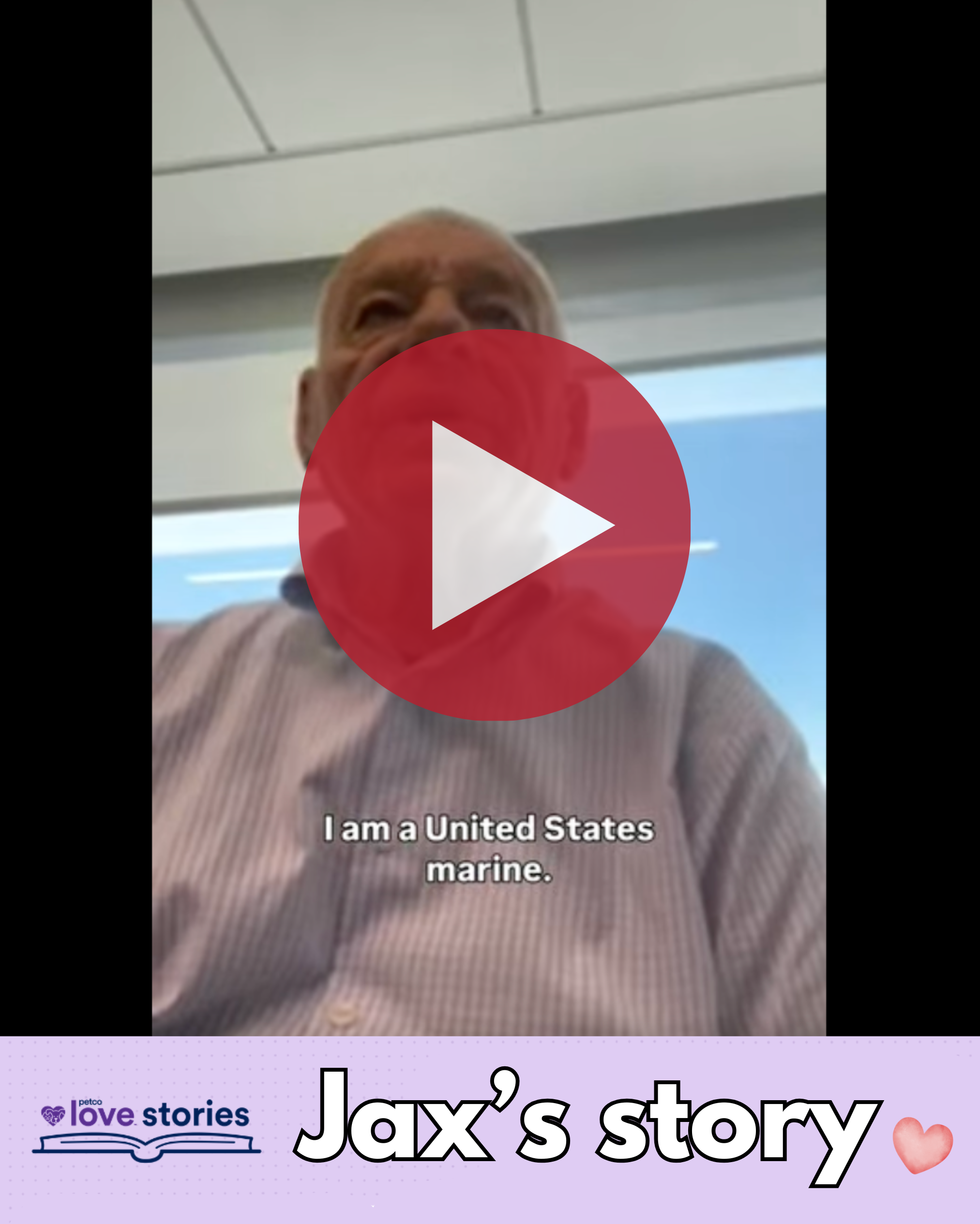 A video screenshot of an elderly man in a striped shirt inside an office, with a caption "I am a United States marine", and a video play button overlay. There is a bottom label with the text "Jax's story" and a heart icon, along with the Petco love stories logo.