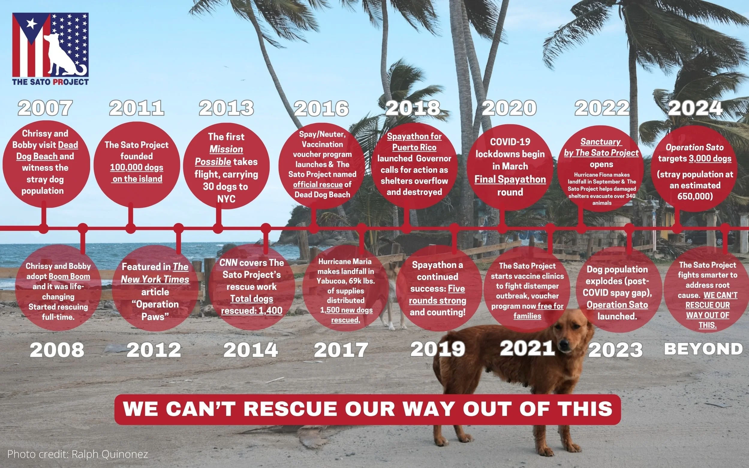A timeline infographic showing the history of The Sato Project from 2007 to beyond 2023. It details key events such as rescue missions, media features, vaccine clinics, and milestones including the founding of the project, notable rescues, and the launch of Operation Sato. The background features a beach scene with palm trees and a dog, with the message "We can't rescue our way out of this" displayed prominently in red at the bottom.
