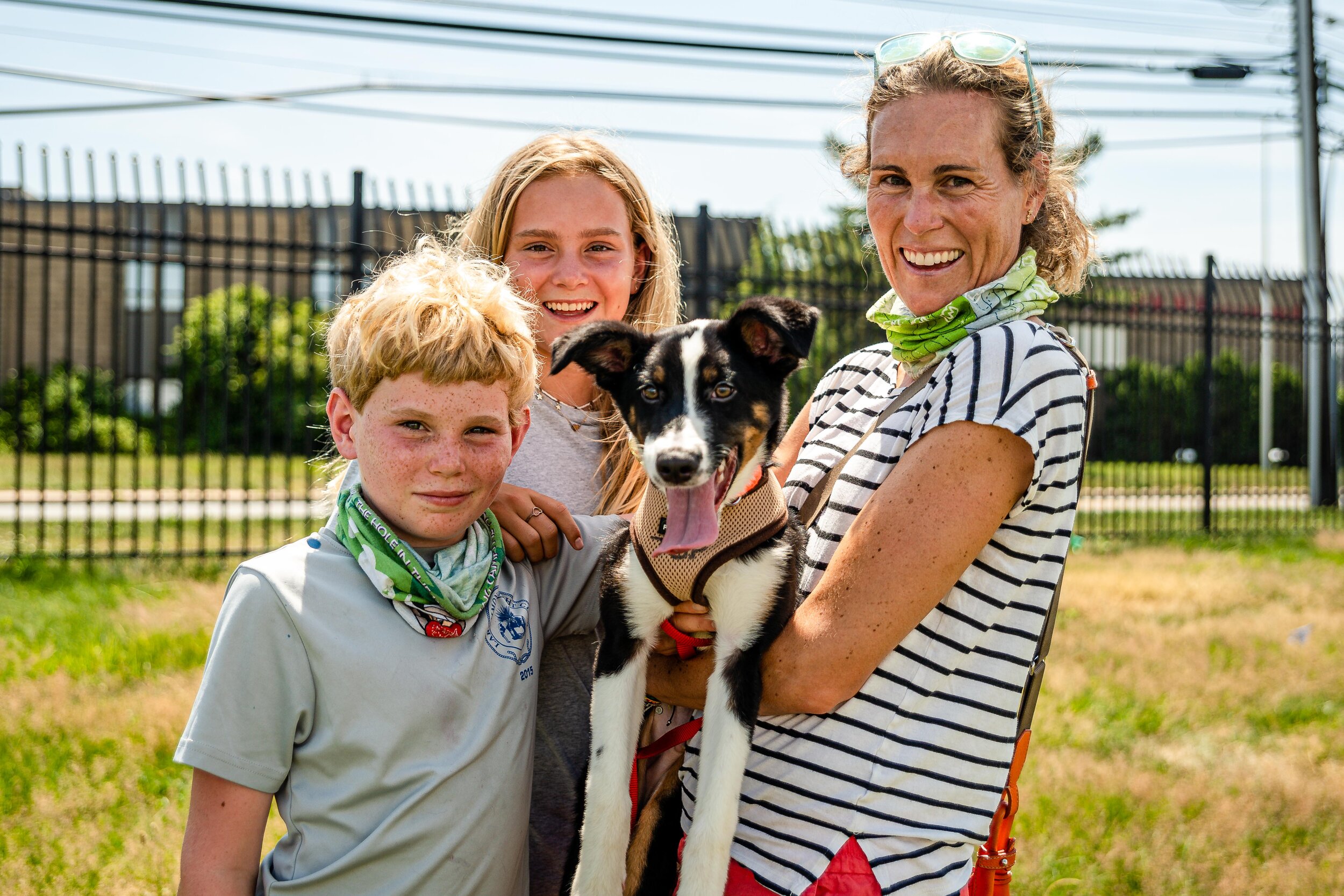 1282_SatoProject-MissionPossible11_2020-07-05_©NYCPetPhotographer.jpg