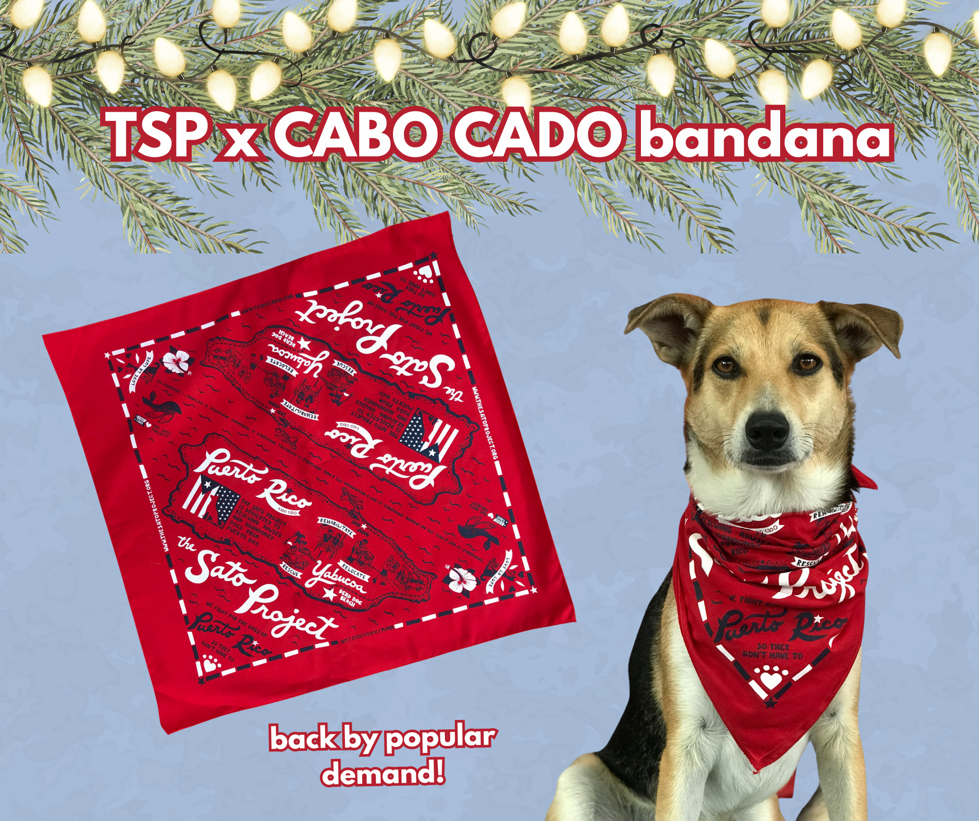 A dog wearing a red bandana with white text and graphics. The background includes a blue wall with green pine branches and string lights. The bandana features a map and references to Puerto Rico and the Puerto Rico Sato Project. The text at the top reads 'TSP x CABO CADO bandana,' and at the bottom, it says 'back by popular demand!'