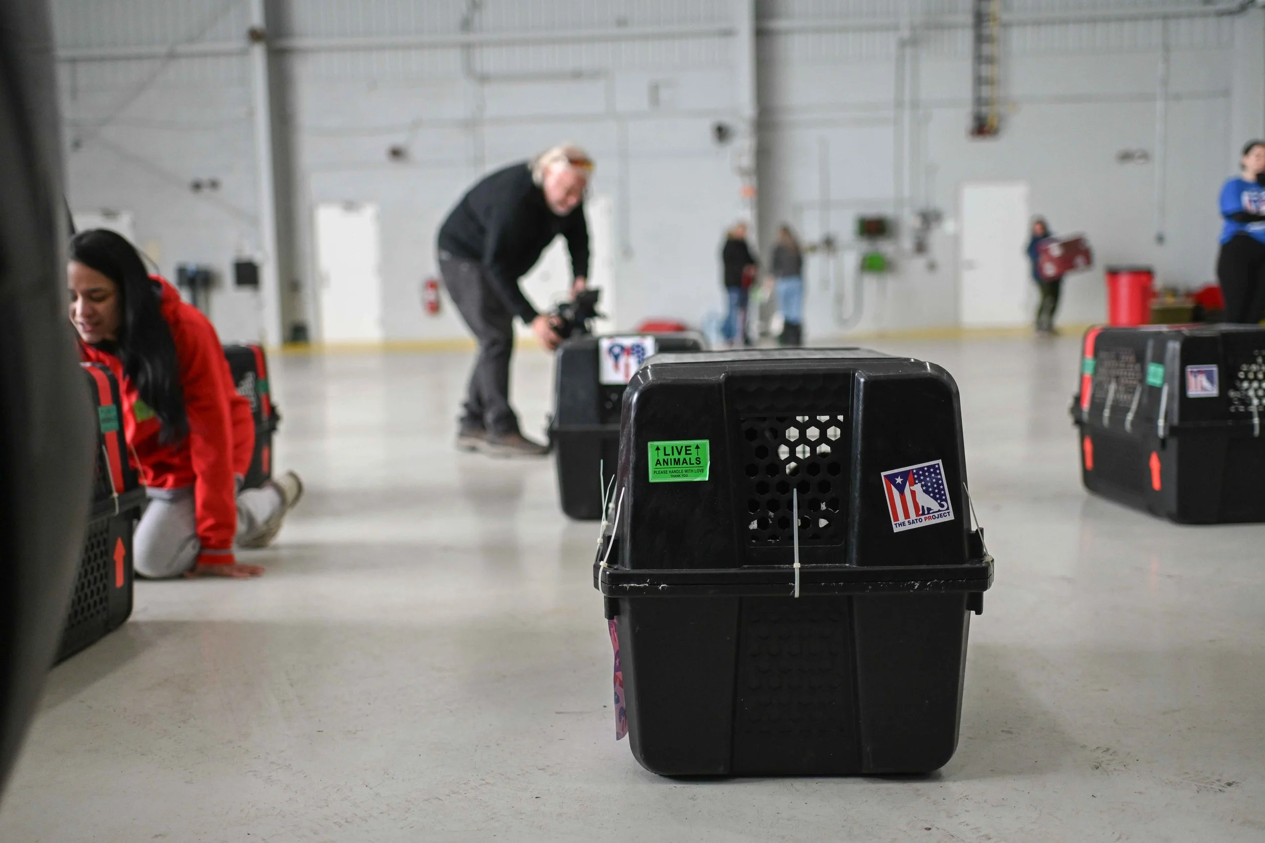 People in an indoor facility with animal transport crates, one with a green sticker that says 'Live Animals' and a sticker of the Puerto Rican flag, some people appear to be kneeling or taking photos, background shows a plain industrial wall.