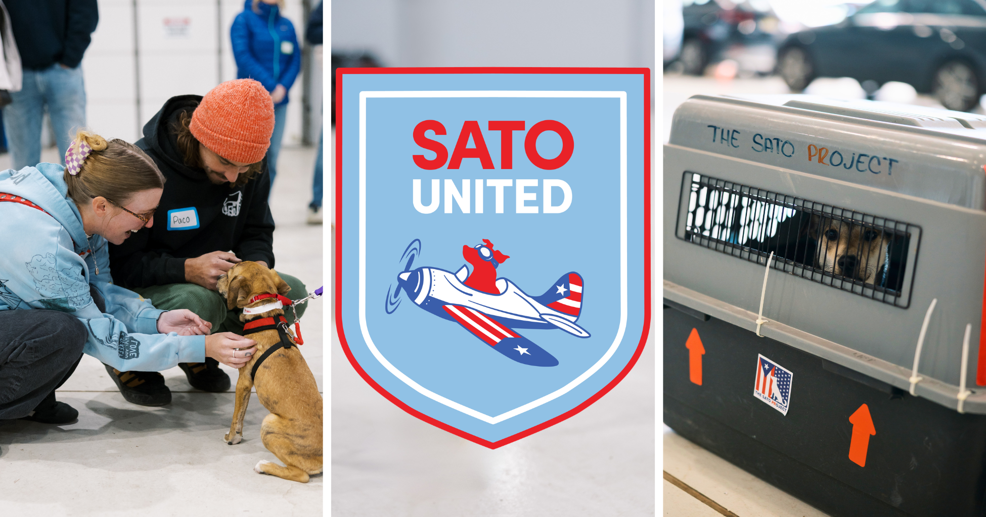 Two women with a dog in the middle are petting a small tan dog wearing a red harness and collar; they are indoors with other people in the background. To the right, a dog is inside a crate labeled "The Sato Project," with its face visible through the crate's vent, and the crate has orange arrow stickers on it. The center features a graphic of an airplane with a dog's head and the text "SATO UNITED" with a logo of the airplane.