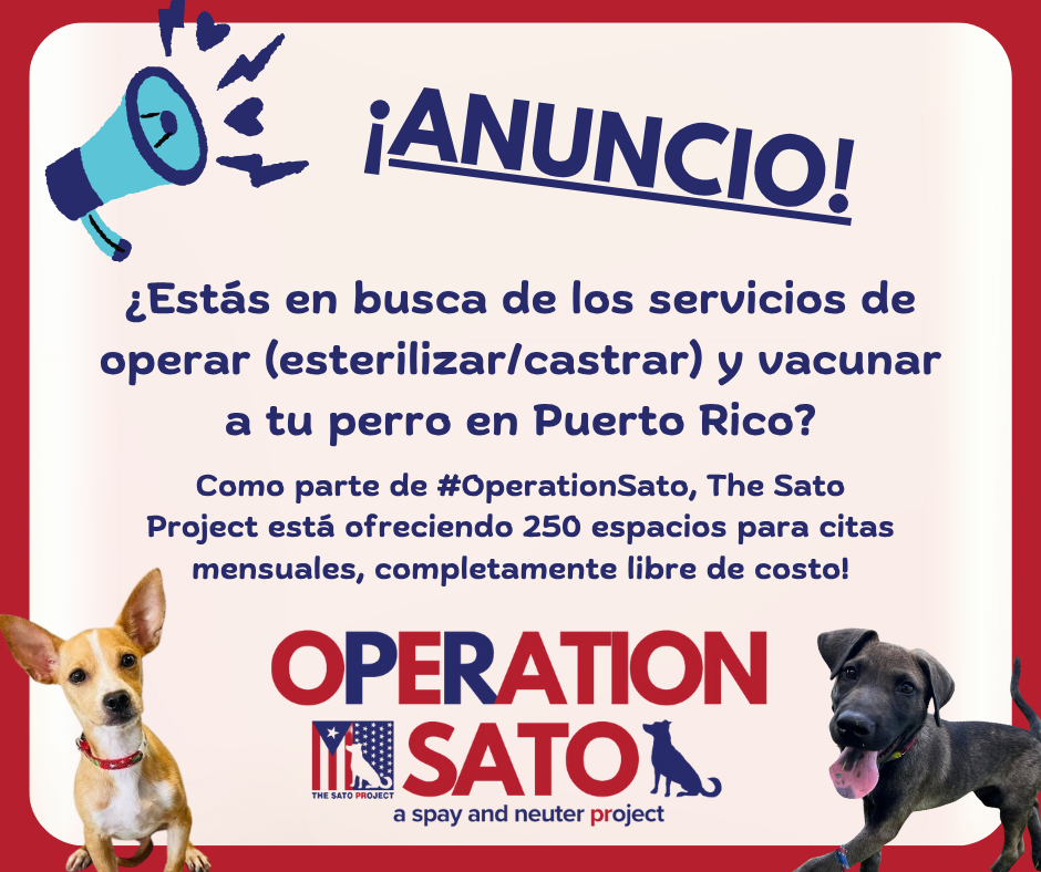 Announcement poster for Operation Sato offering free services to neuter/spay and vaccinate dogs in Puerto Rico, with images of two dogs and a megaphone.