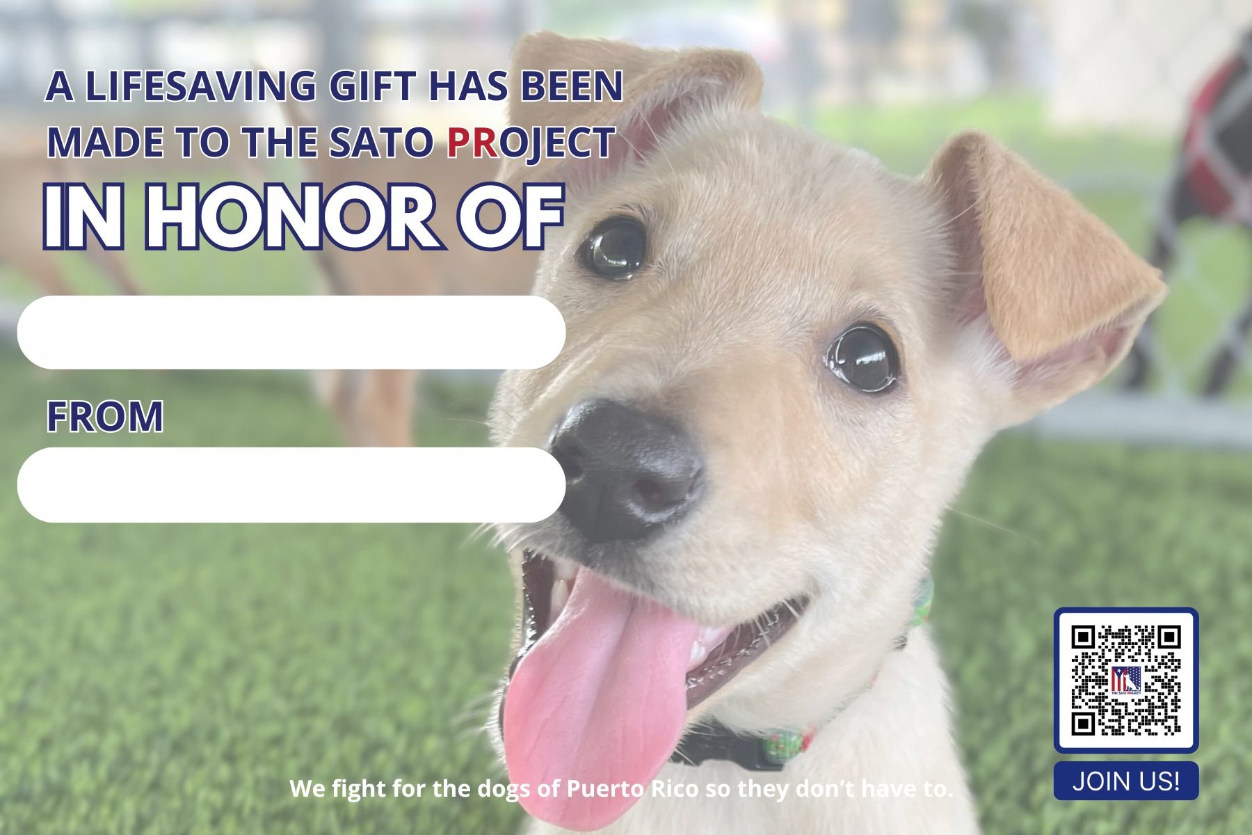 A puppy with tan fur and large dark eyes sticking out its tongue, with a blurry outdoor background, and text overlay about a donation project for Puerto Rican dogs.