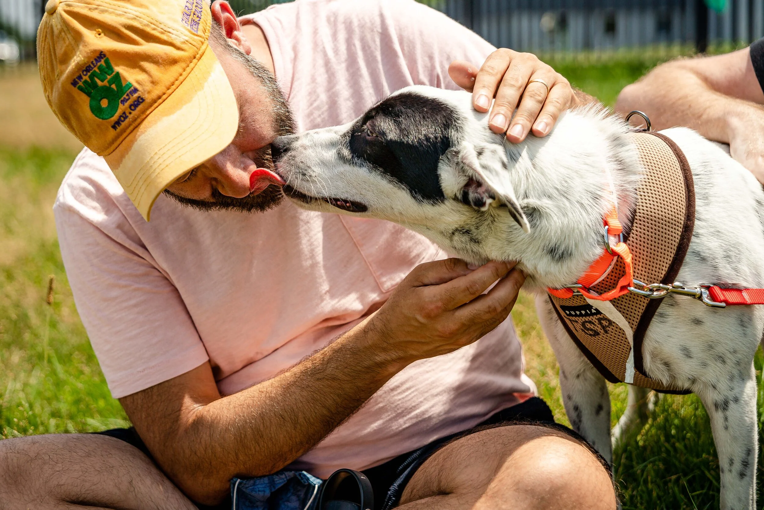 0997_SatoProject-MissionPossible11_2020-07-05_©NYCPetPhotographer copy.jpg