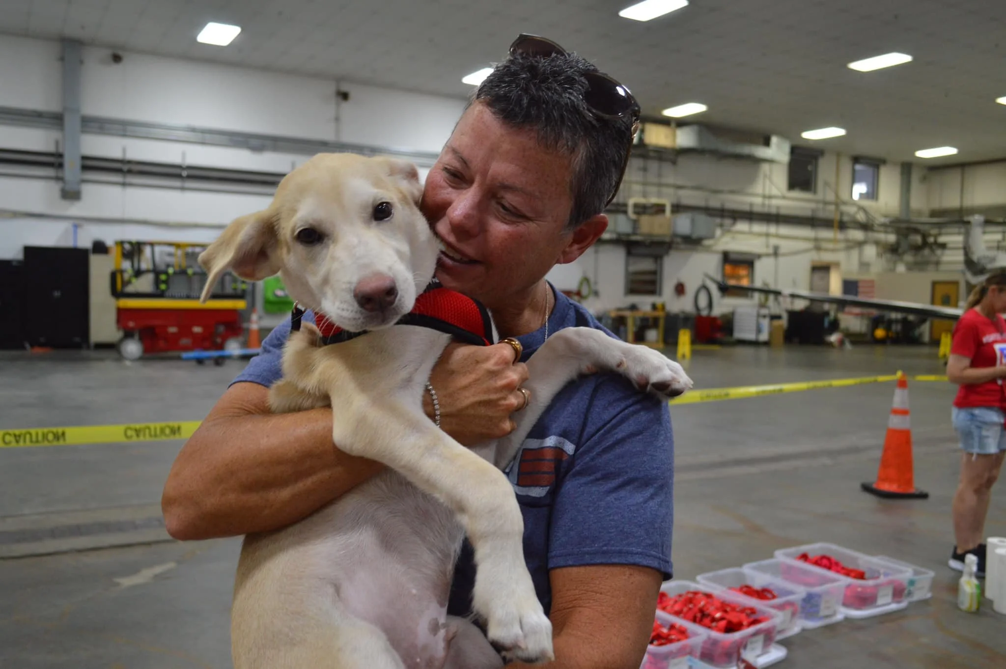 A woman holding a yellow Labrador puppy in an indoor setting with caution tape, cones, and storage bins in the background.