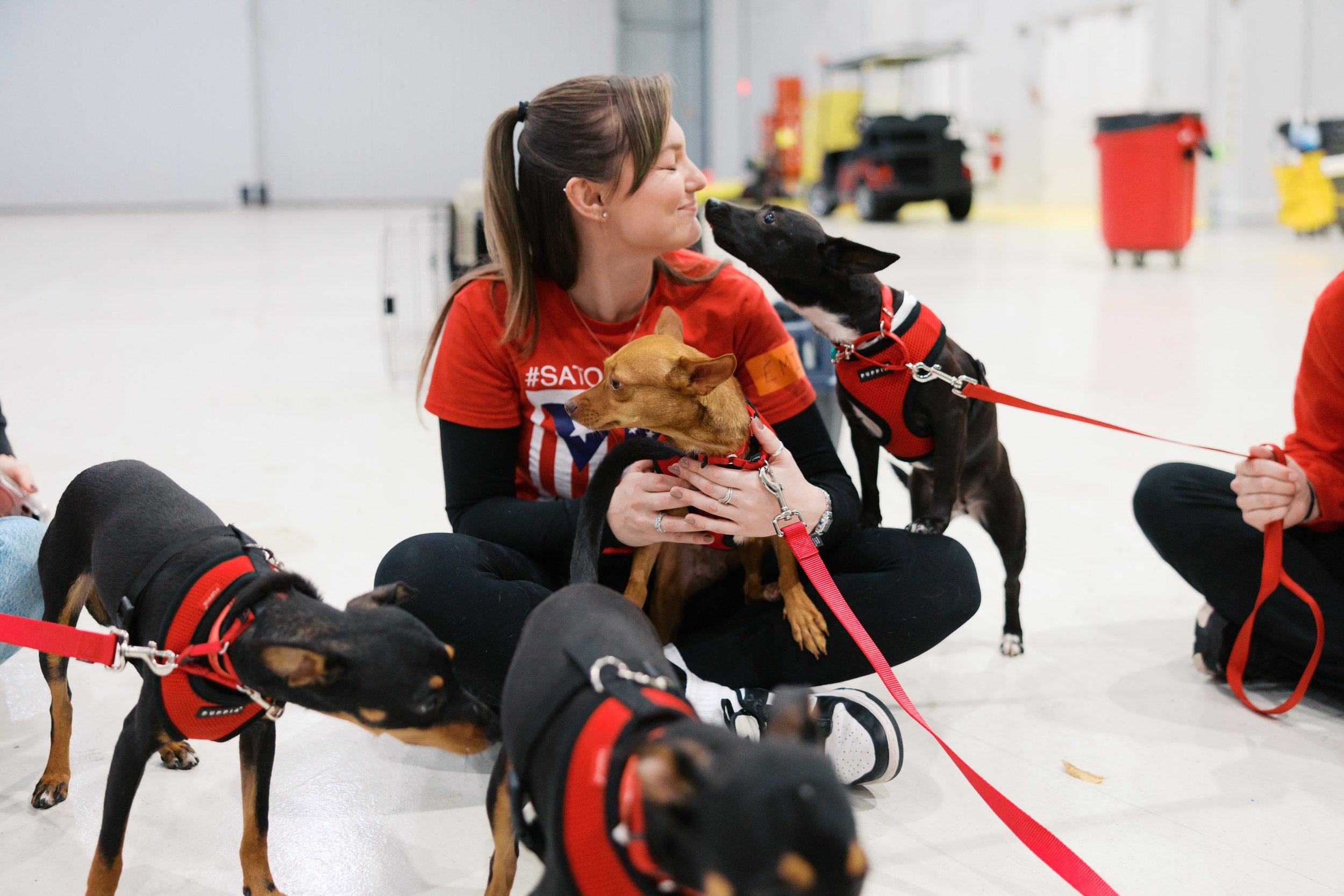 A woman sitting on the floor with several dogs, including a black and white dog licking her face, and others sitting nearby, inside a large indoor space.