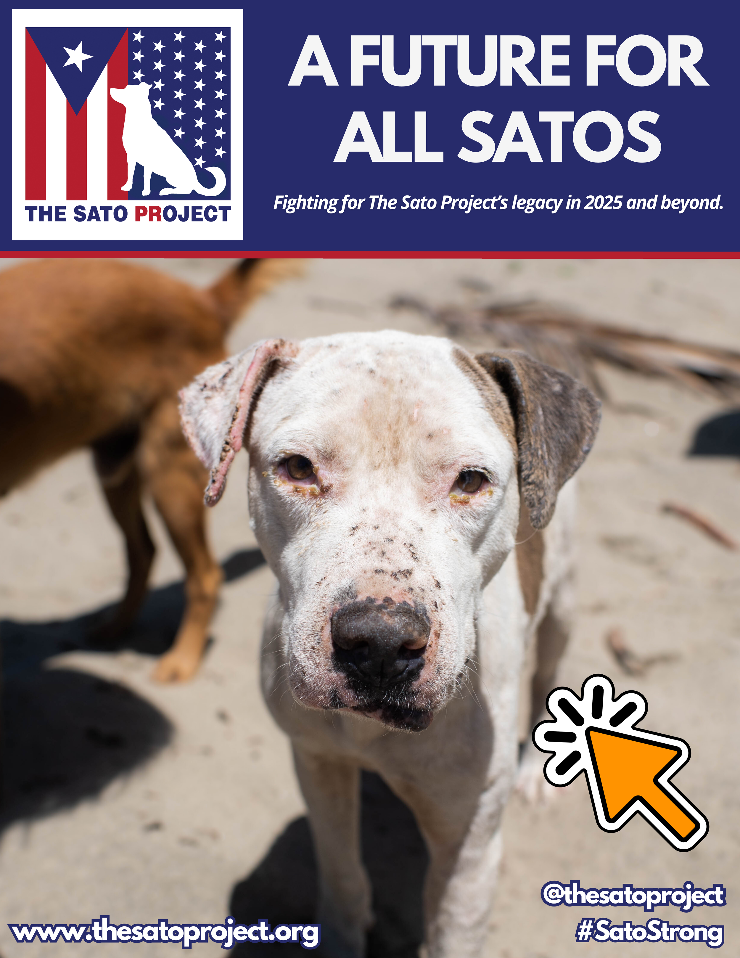 A flyer with the slogan "A Future for All Satos," showing a white dog with spots looking directly into the camera, with part of another dog visible in the background on a sandy beach.