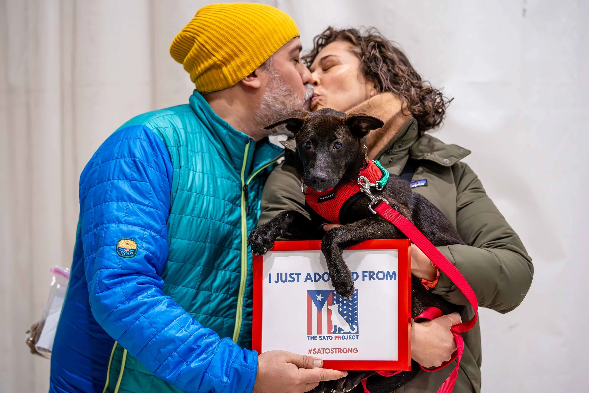 A couple is kissing while holding a dog, and the woman is holding a sign that says they adopted from The SATO Project, with a logo featuring a dog and the Puerto Rican flag, and the hashtag #SATOStrong.
