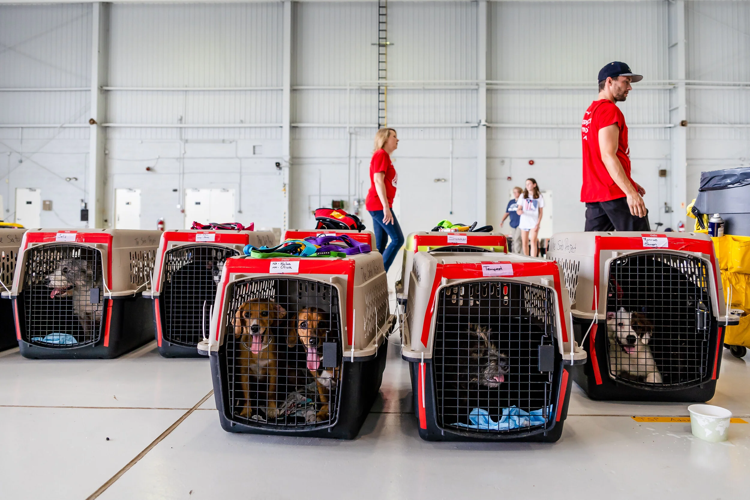 Photo by @NYCPetPhotographer