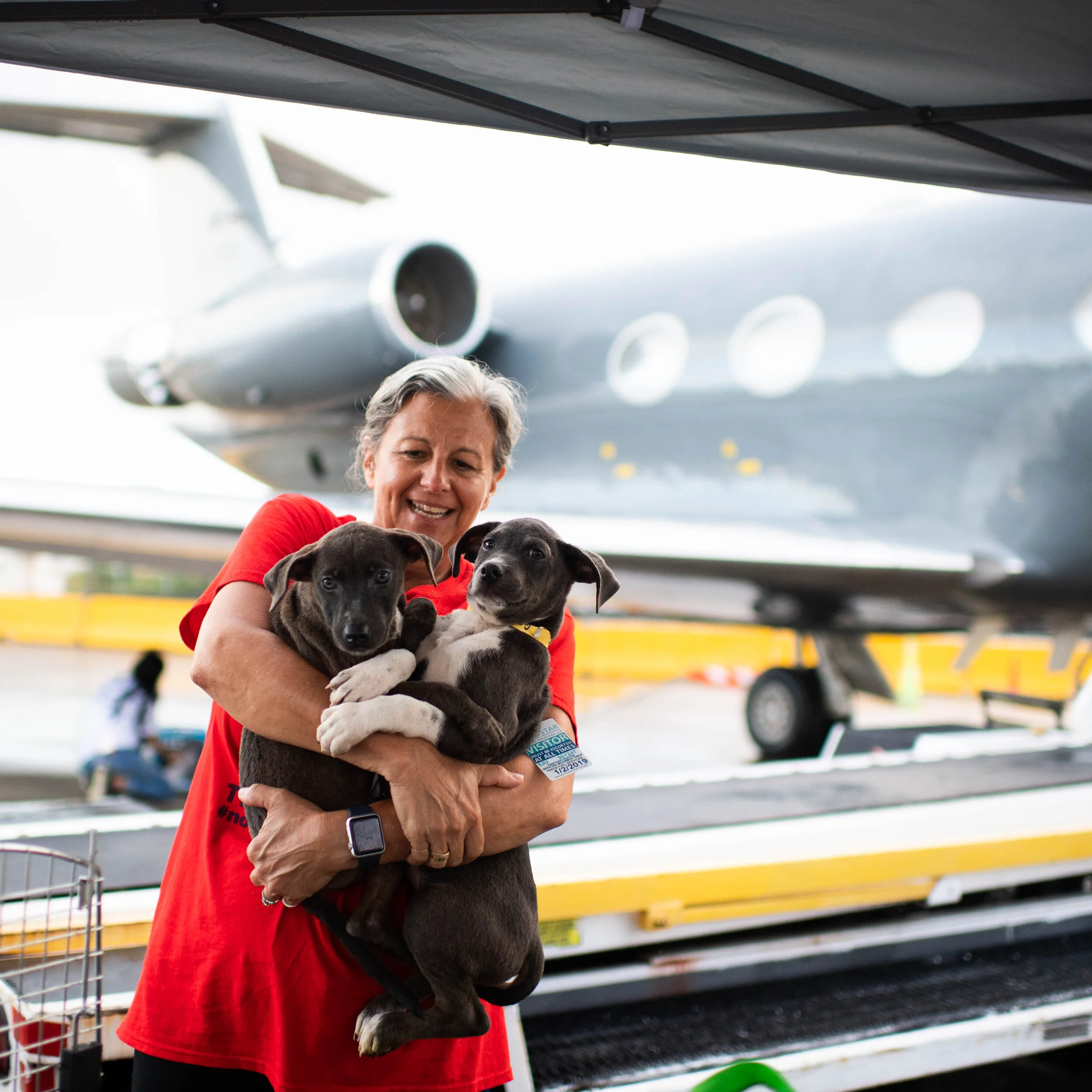 Photo by @thedogist
