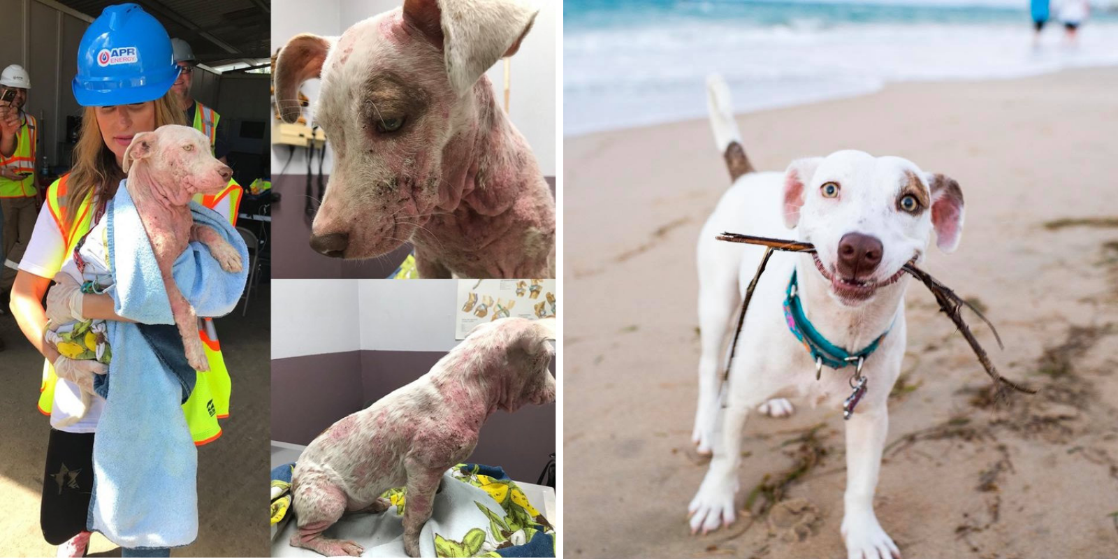 Gigi’s ‘after’ photo by The Dogist