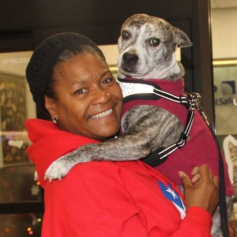 A woman in a red hoodie holding a gray and white dog.