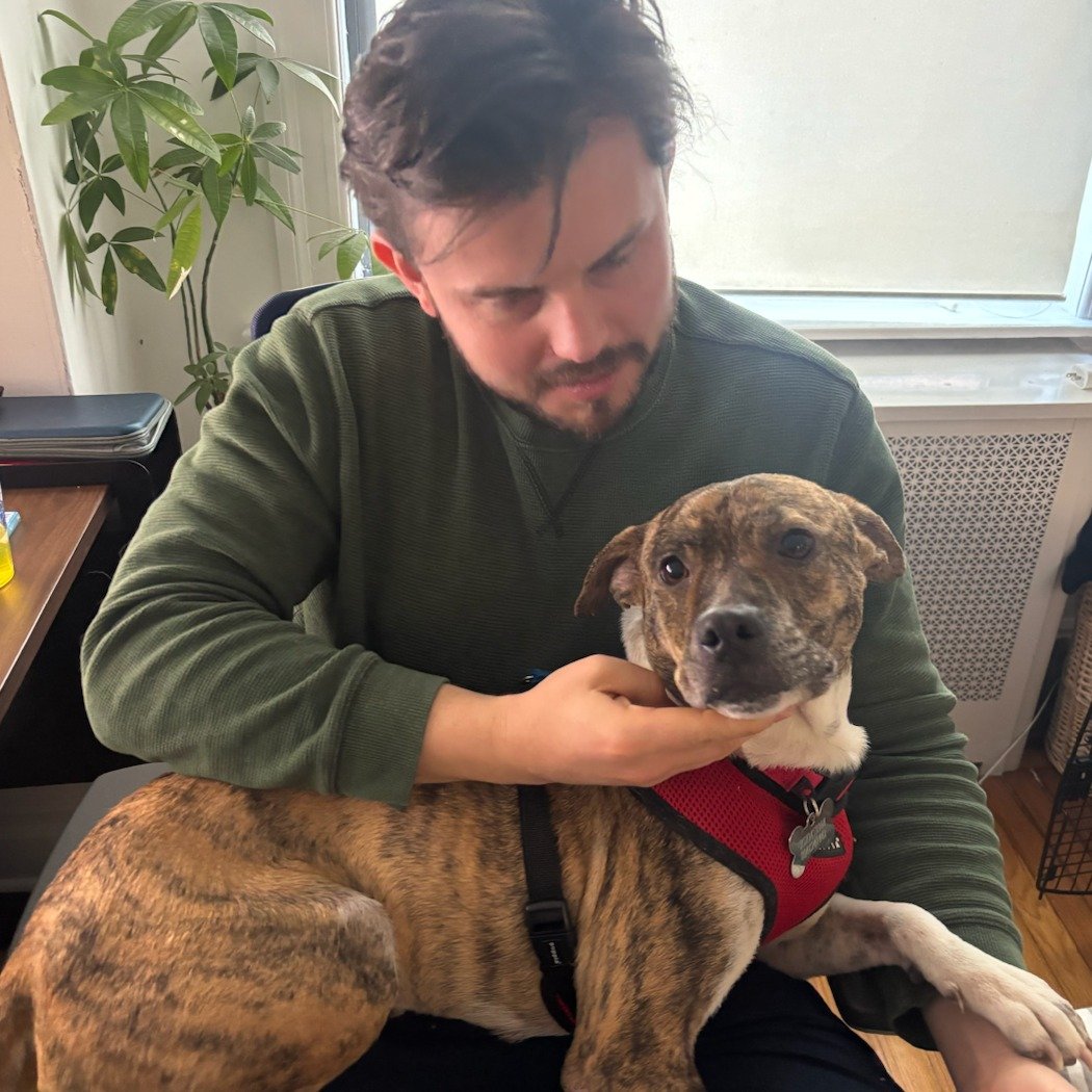 YOU'RE INVITED: The Sato Project's Foster Program Zoom Update &amp; Overview!

Ever wonder what it would be like to foster? Ever wonder what it would be like to foster a sato with The Sato Project? Or have you fostered with us before, and want to lea