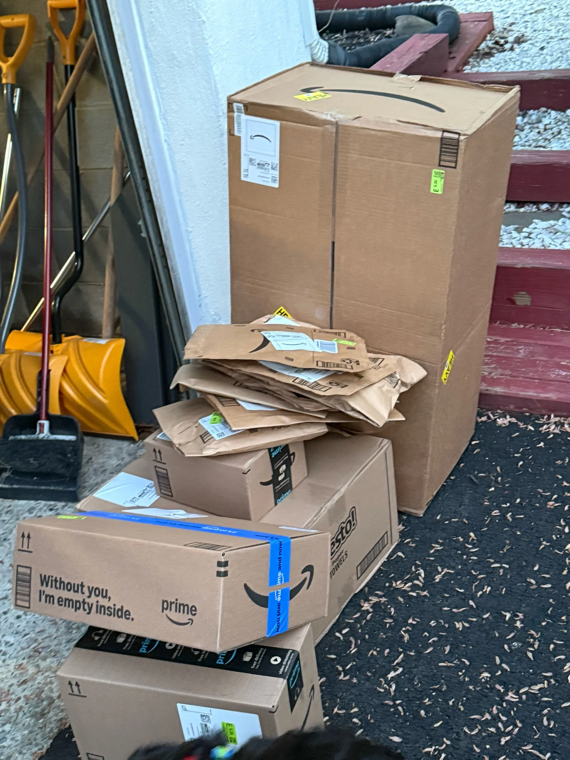 THANK YOU! The transport items you&rsquo;ve been ordering off our wishlist have started to arrive to our New York team, and we are so grateful! These packages contain leashes, harnesses, treats, and more crucial supplies we need to keep our satos saf
