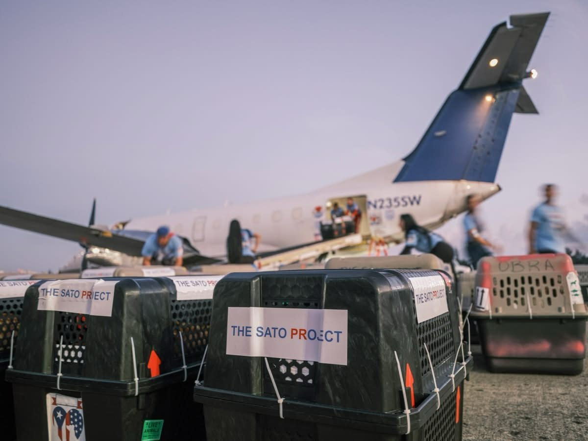 We&rsquo;re editing some of the footage from yesterday and getting choked up about it. We can&rsquo;t wait to show you exclusive videos of the inaugural #SATOUnited flight, from loading on the ground in Puerto Rico, all the way to Morristown, NJ - TW