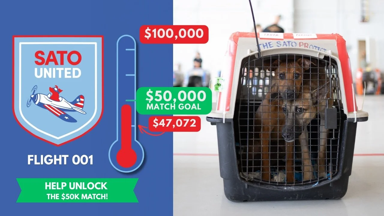 STATUS: so close to unlocking our matching goal 🙏 Do you think it&rsquo;s possible we could get there by 7 pm tonight, when the very first #SATOUnited reel drops??

Of course it&rsquo;s possible. 

&ldquo;Impossible is NOTHING.&rdquo;

Visit the lin