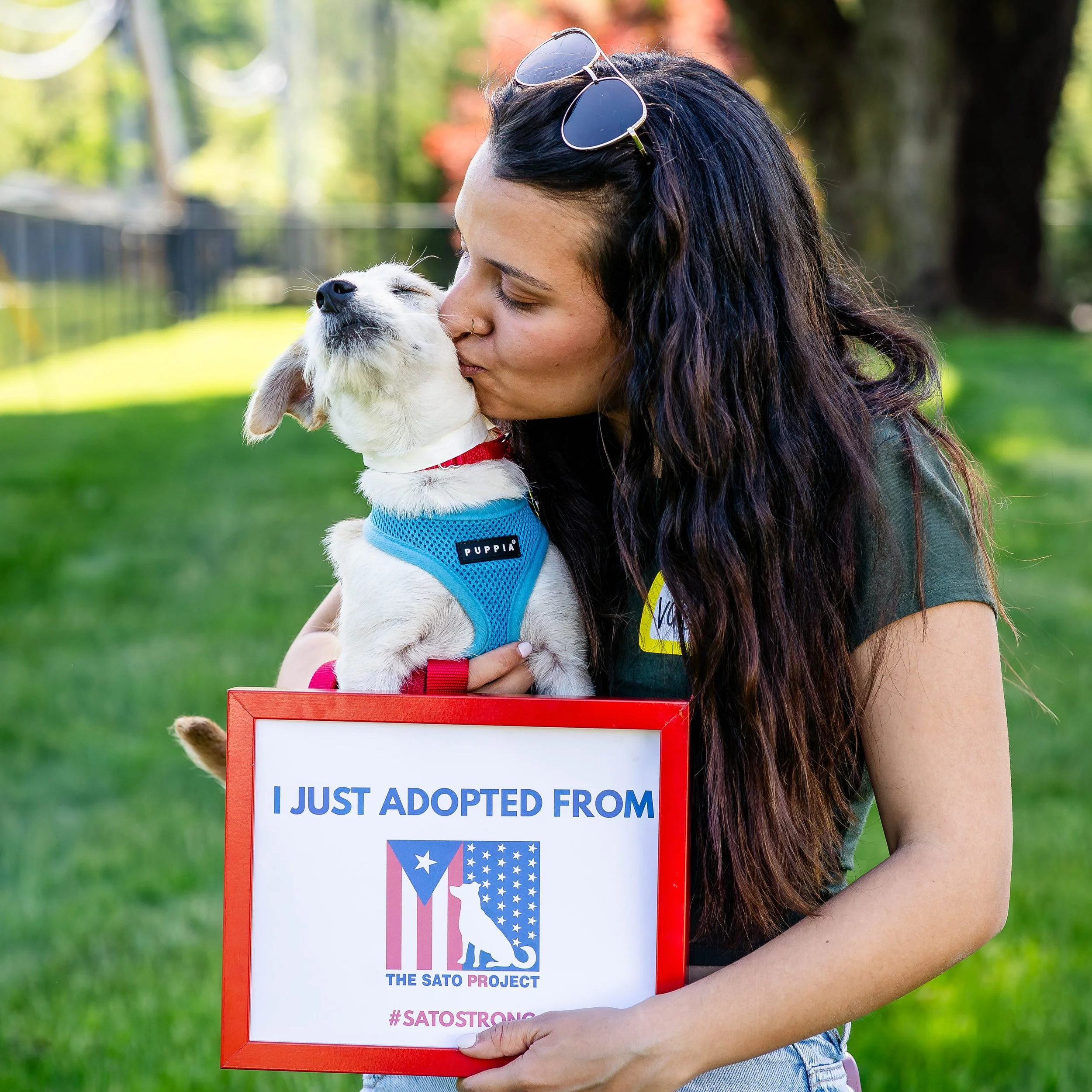 Happy #NationalRescueDogDay &hearts;️

Rescue isn&rsquo;t easy. We don&rsquo;t do it because it&rsquo;s &ldquo;fun.&rdquo; Our Founder, Chrissy, didn&rsquo;t dedicate her life to the 650,000 stray dogs of Puerto Rico because it&rsquo;s pleasant or st