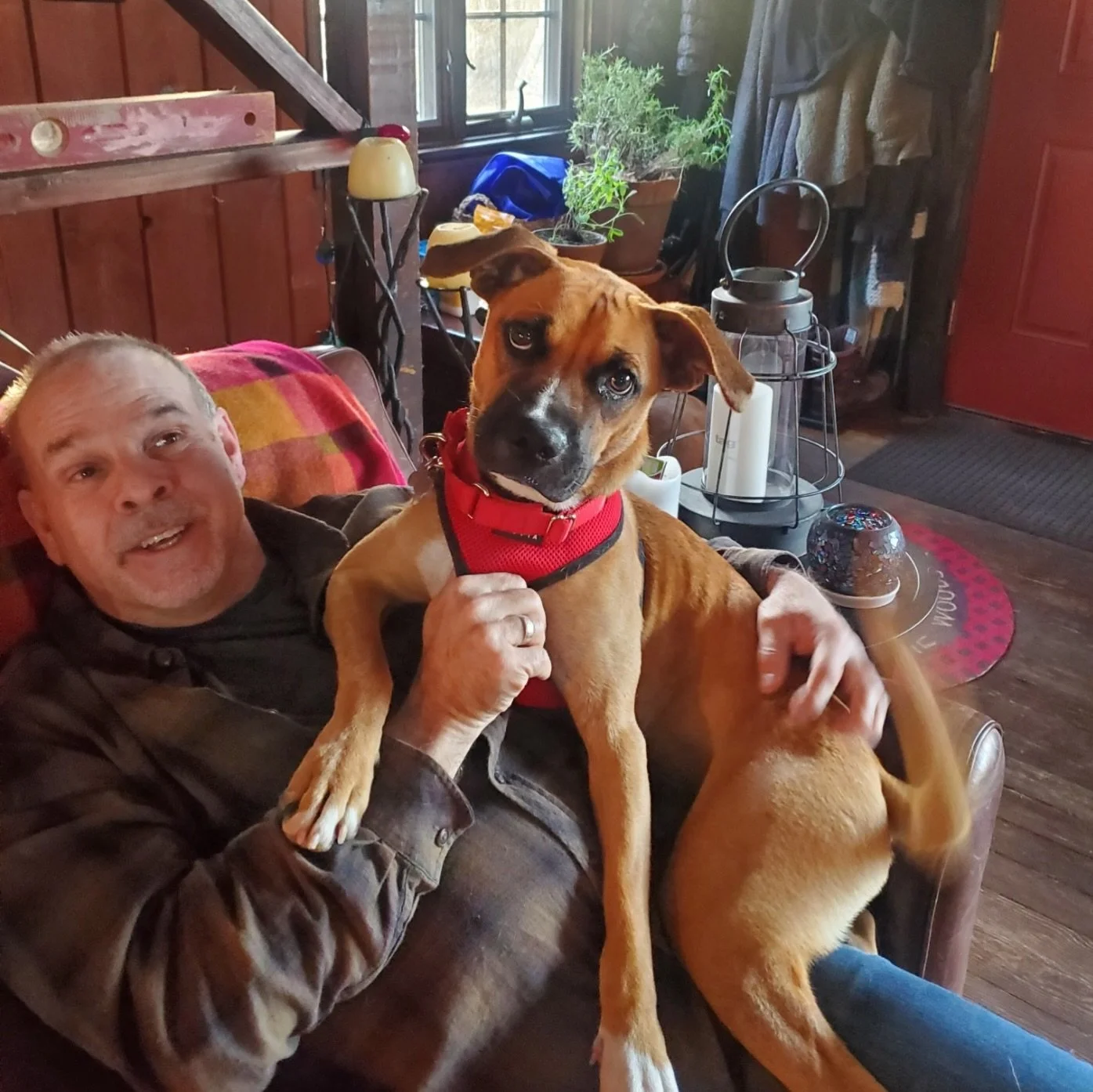 &ldquo;Our hearts break every time so theirs never have to break again.&rdquo;

Meet Rob &amp; Robbie. They have fostered with us 55 times 🤯

After learning about The Sato Project in 2012 through a New York Times feature on our Founder/President, Ch