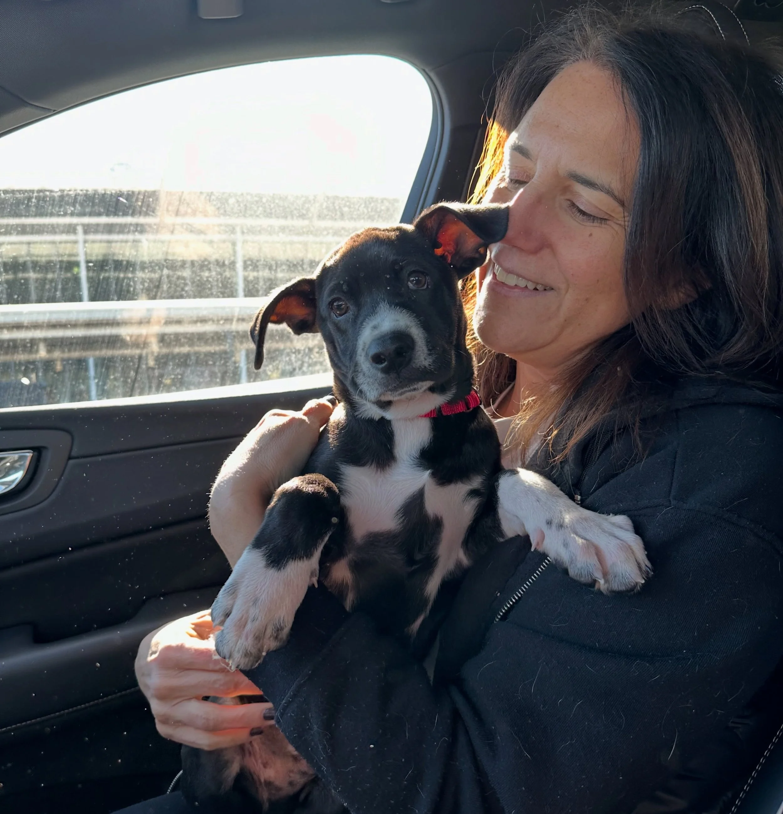 #FOSTERFRIDAY: &ldquo;First comes the crying, then the margaritas, and we toast to their new life and family.&rdquo; 🍹❤️

We are thrilled to continue our Foster Friday series with our #SatoStrong volunteer/foster superstar Lori, who rescued her pup 