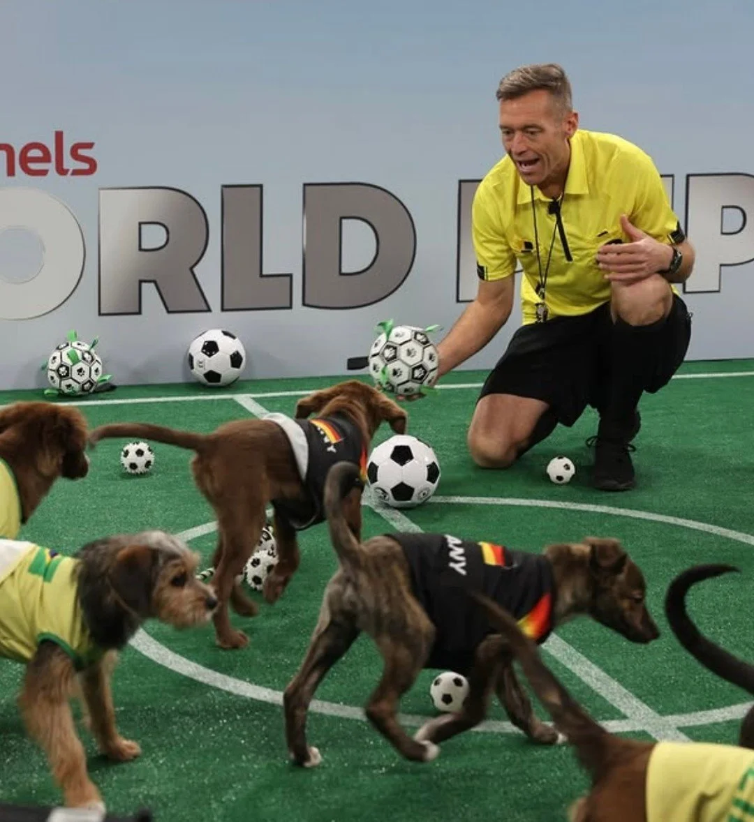 The @lgusa FIRST ANNUAL WORLD PUP premieres TONIGHT on all LG channels! We have several of our sato puppies competing in the games over the next few months and we couldn't be more excited to cheer them on with you. Though we chaperoned the pups on th