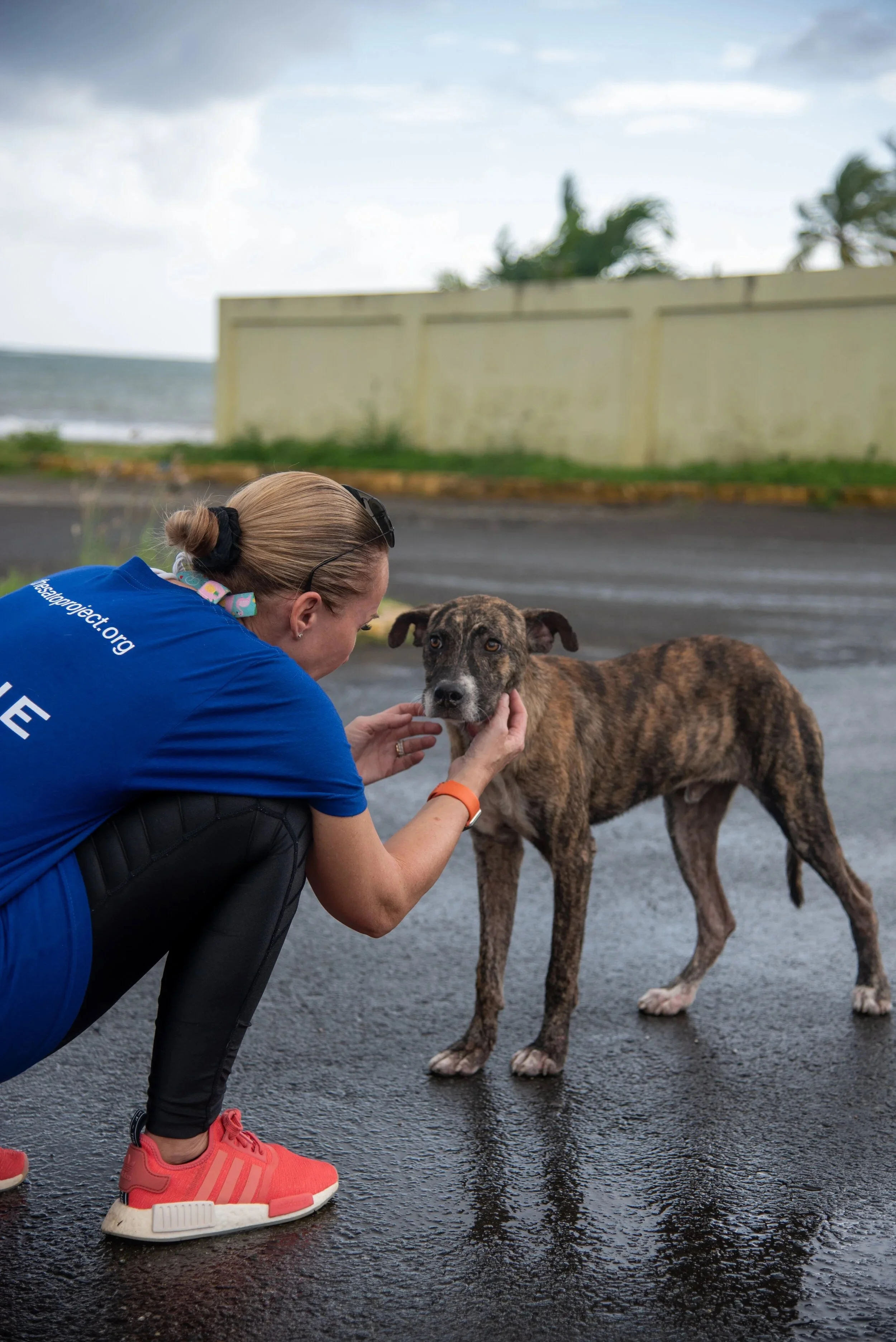 A woman in a blue shirt crouching down and holding the face of a brindle-colored dog with a water background and cloudy sky.