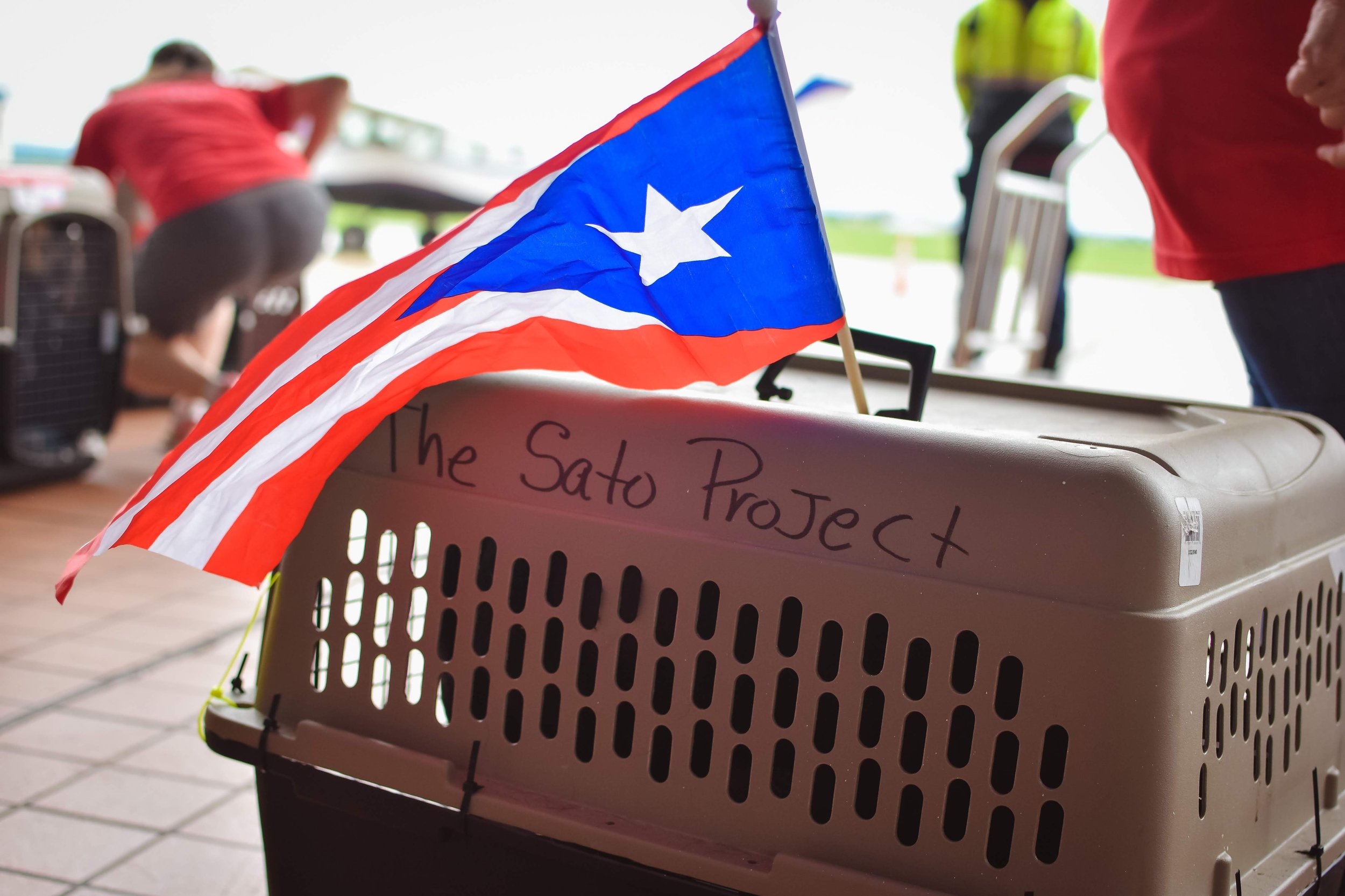 A small Puerto Rican flag attached to a pet carrier labeled 'The Sato Project', with people in the background at an outdoor event.