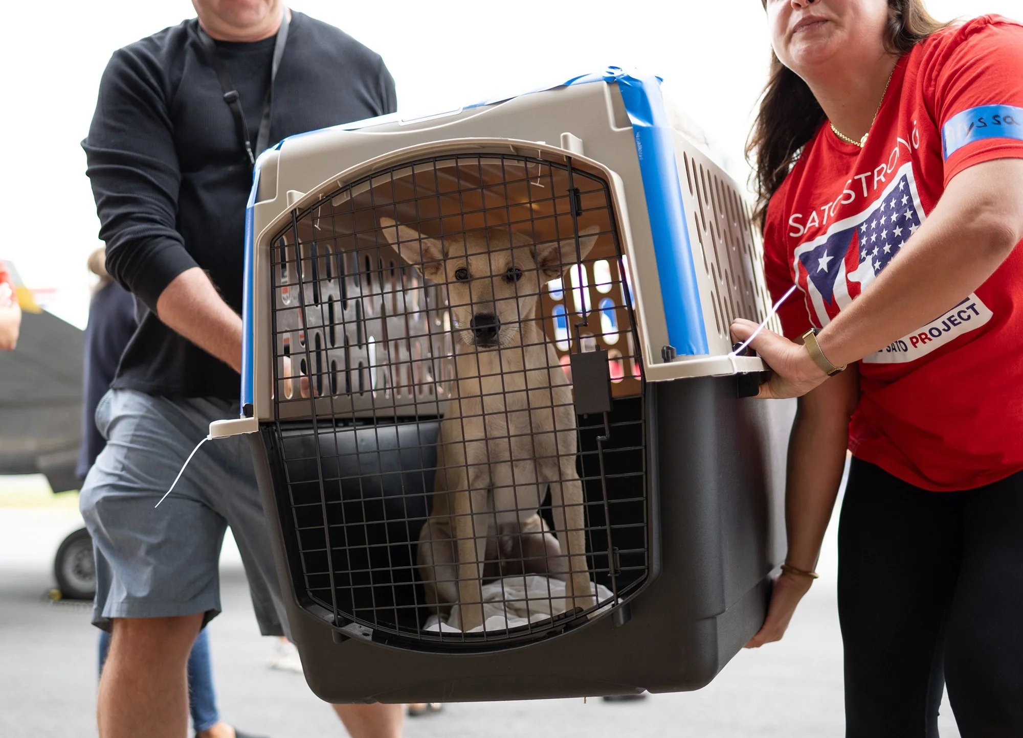 A puppy inside a pet carrier being carried by two people during a rescue or shelter event.