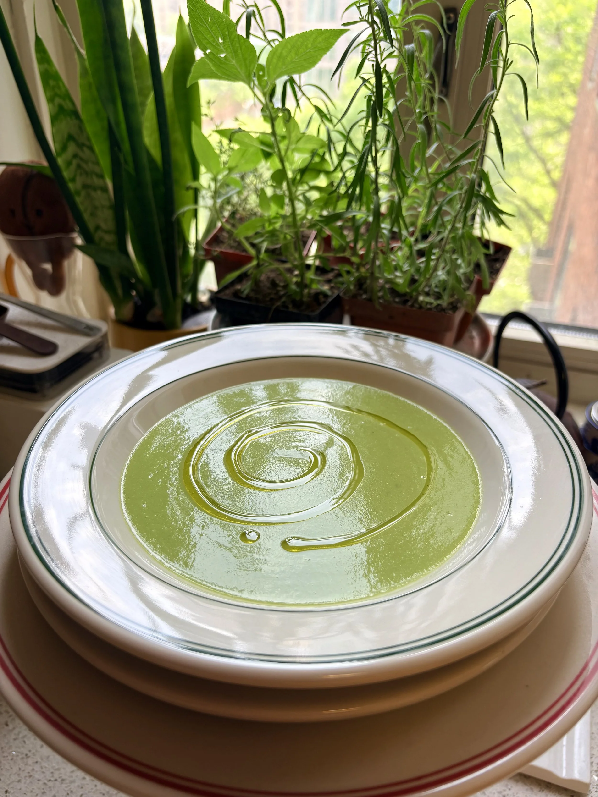Cream of Asparagus Soup