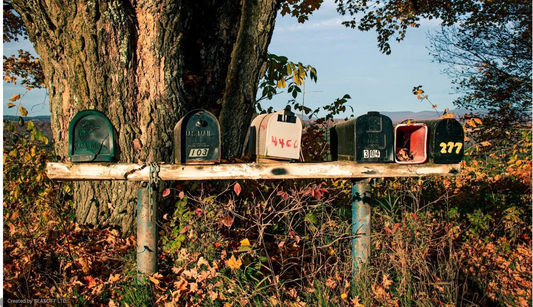 What Happens When You Wait Too Long to Book a Reading?