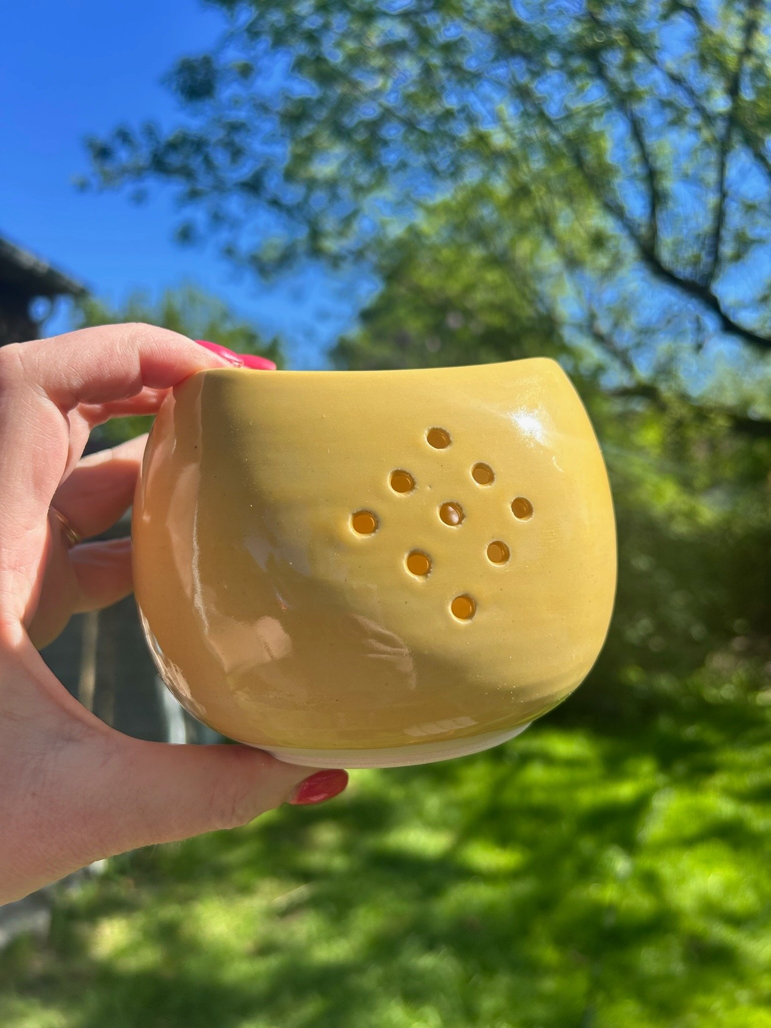 $35 - Berry Bowl