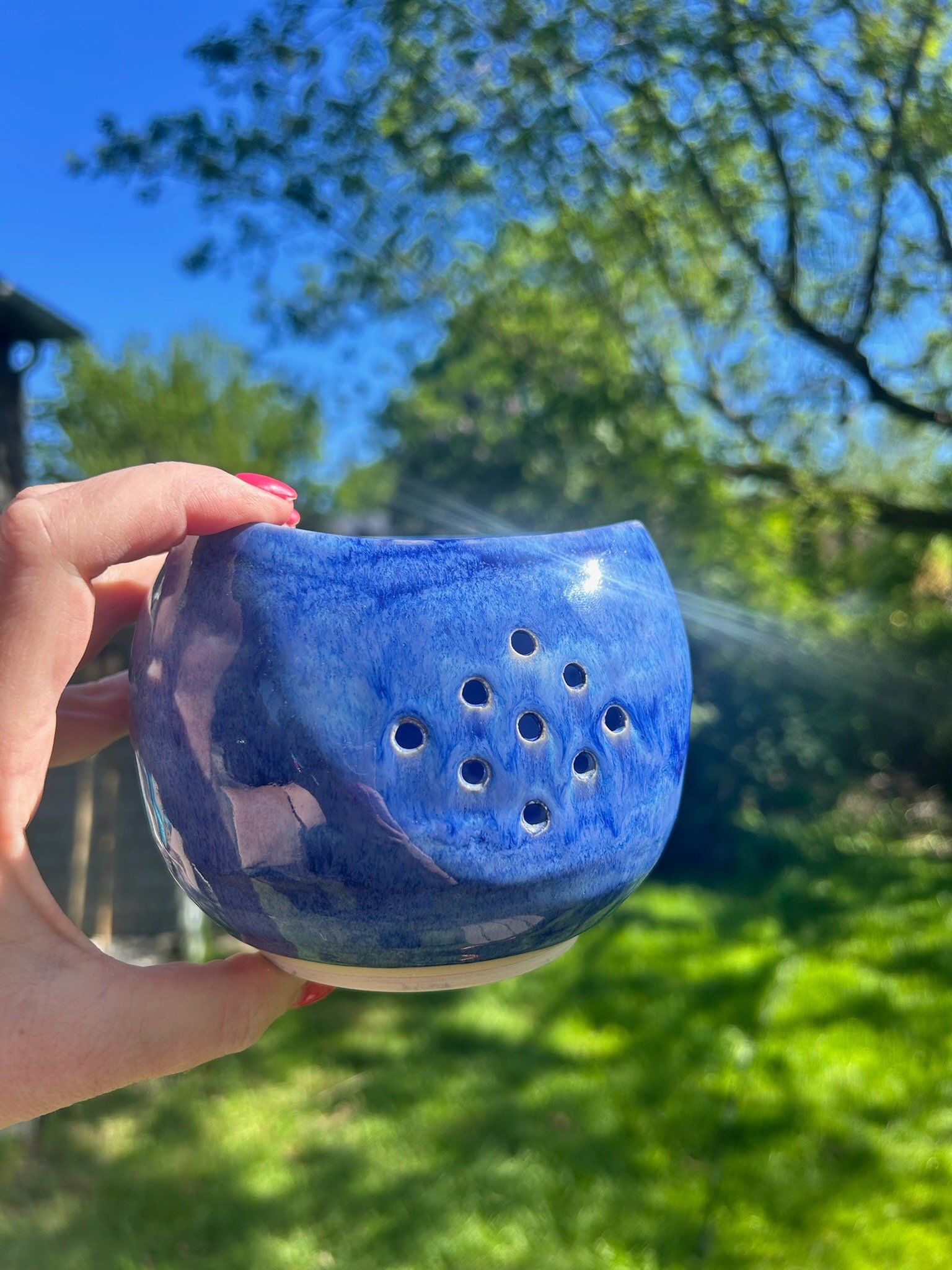 $35 - Berry Bowl
