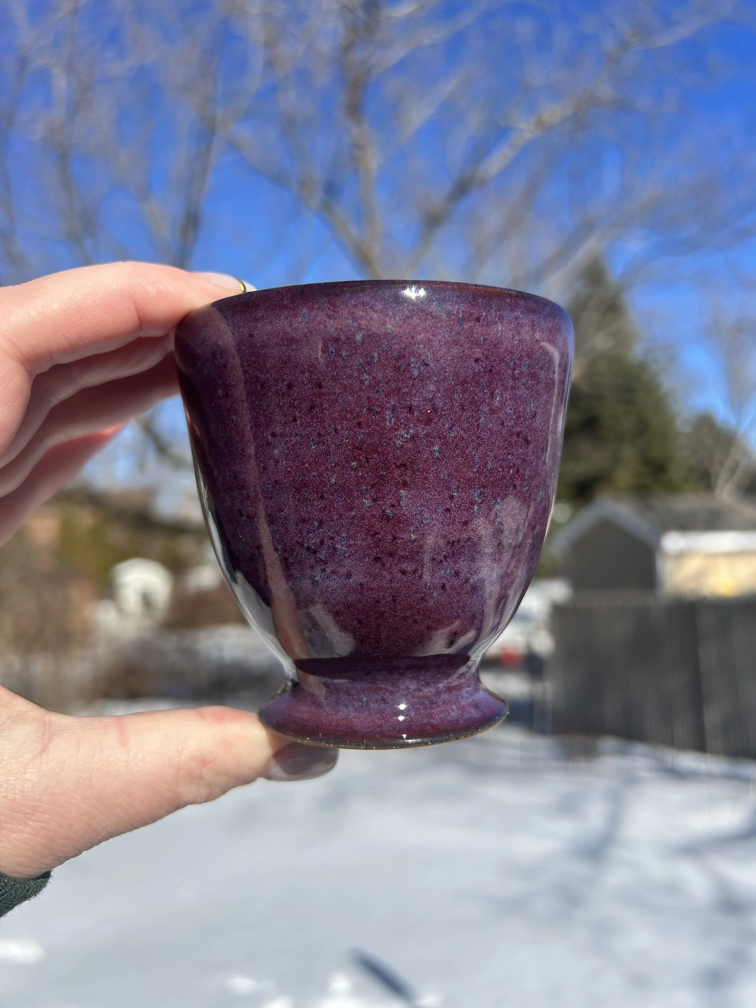 A person's hand holding a purple ceramic mug outdoors on a sunny winter day with a snow-covered ground and a house in the background.