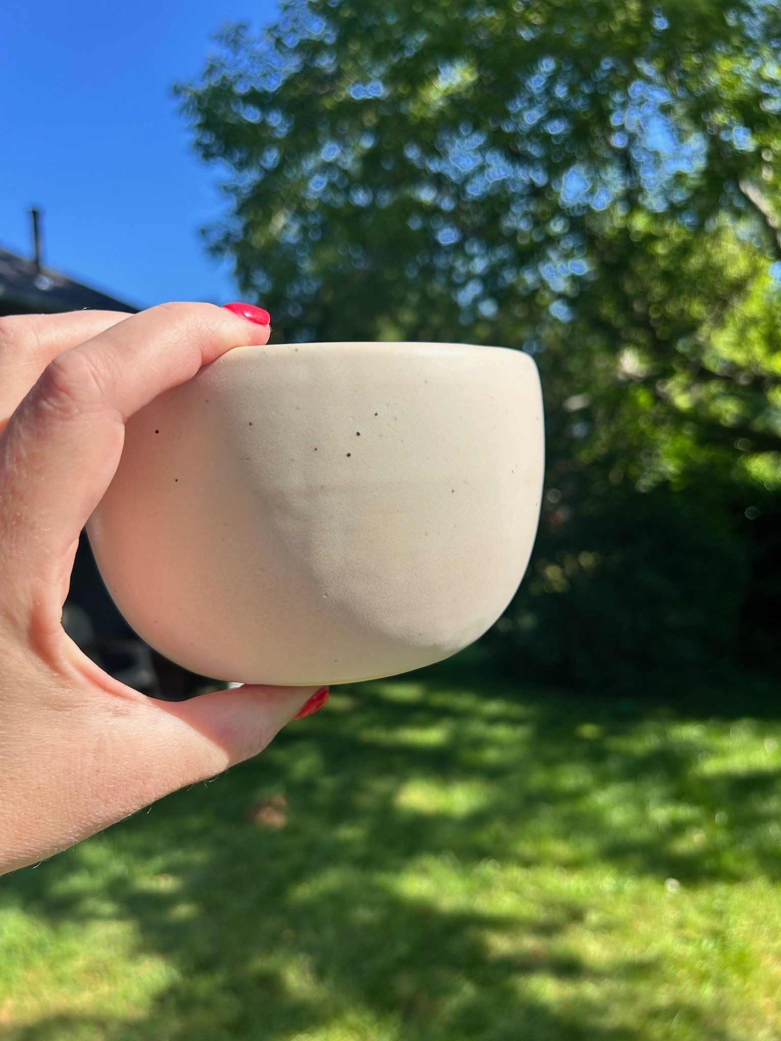$30 - Cereal Bowl