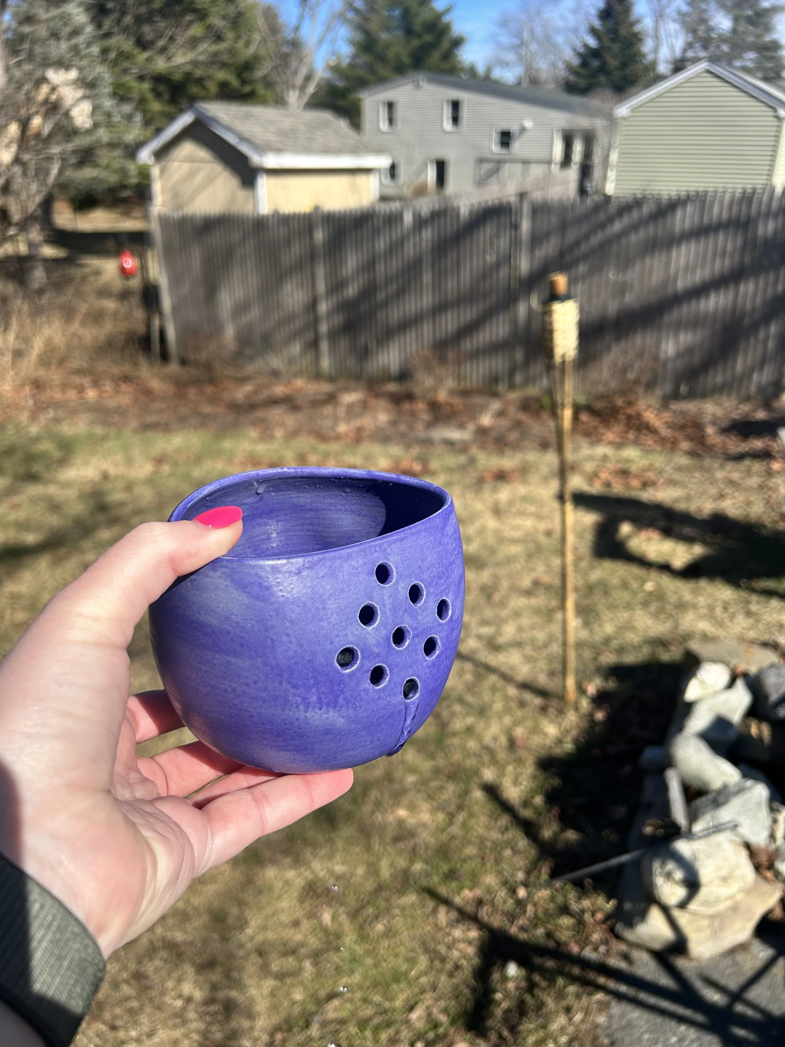 $35 - Berry Bowl