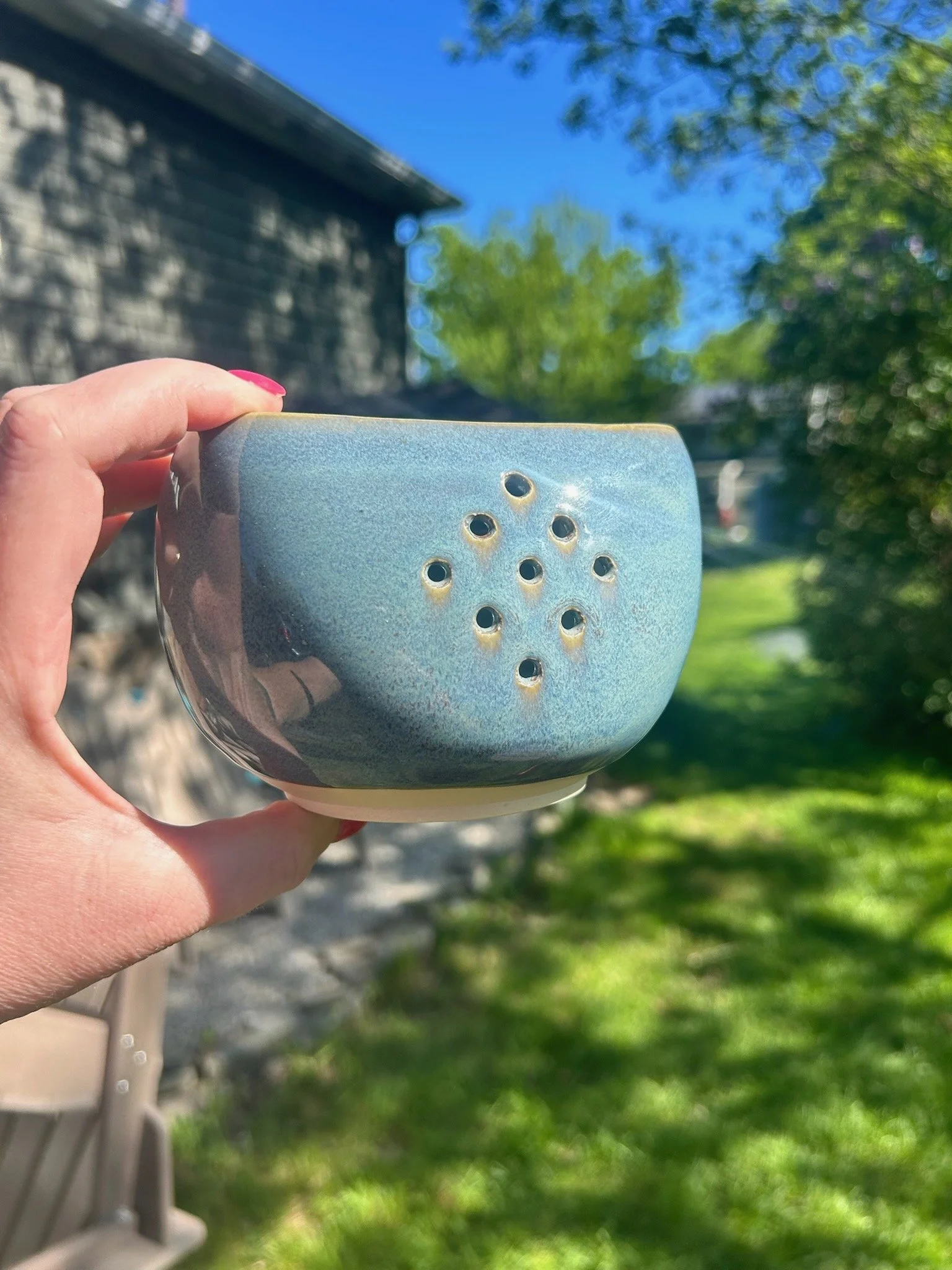 $35 - Berry Bowl
