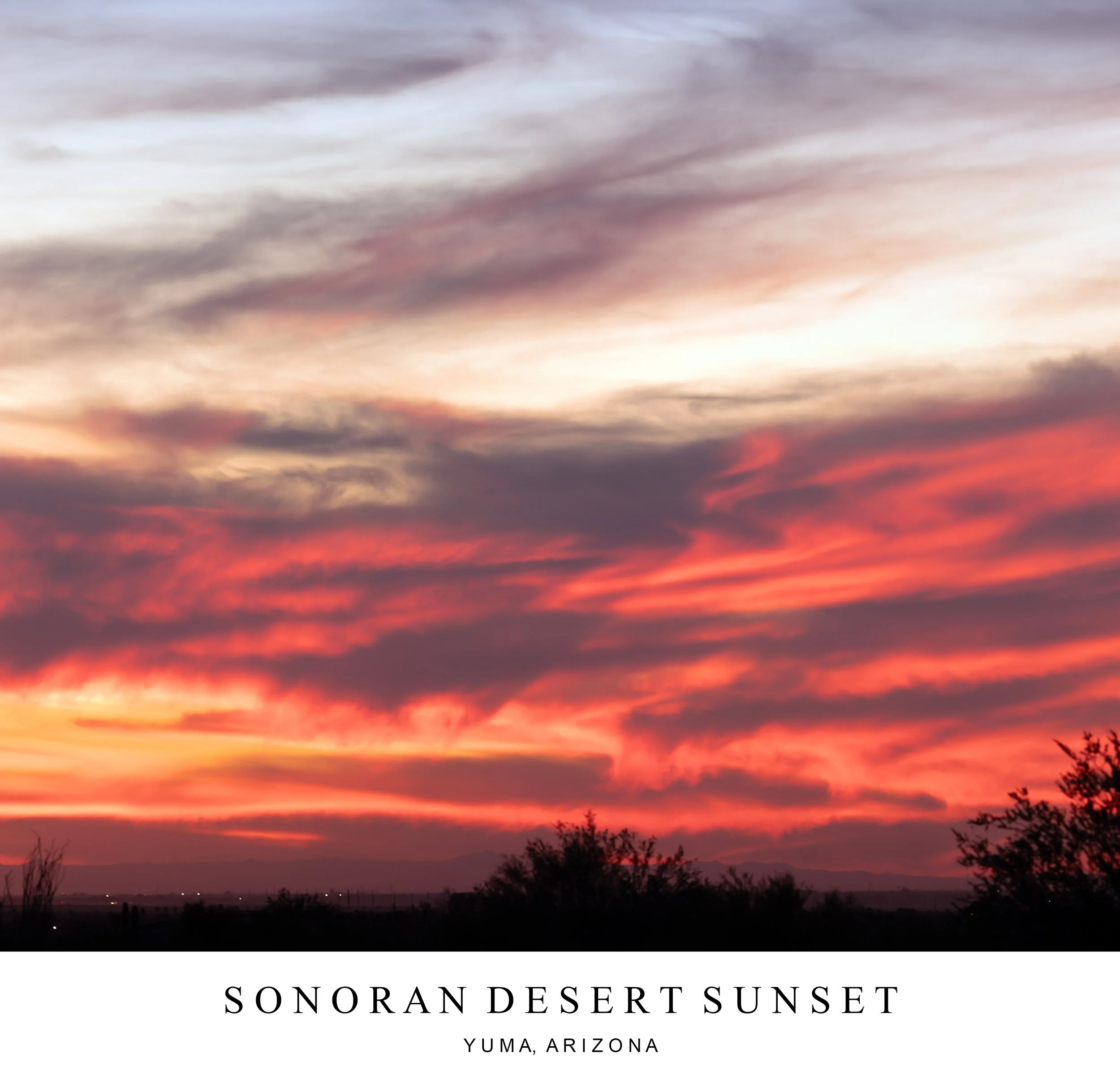 Desert Sunset 15E 1 6473-88 B3 caption A1 2500x2400 110123.jpg