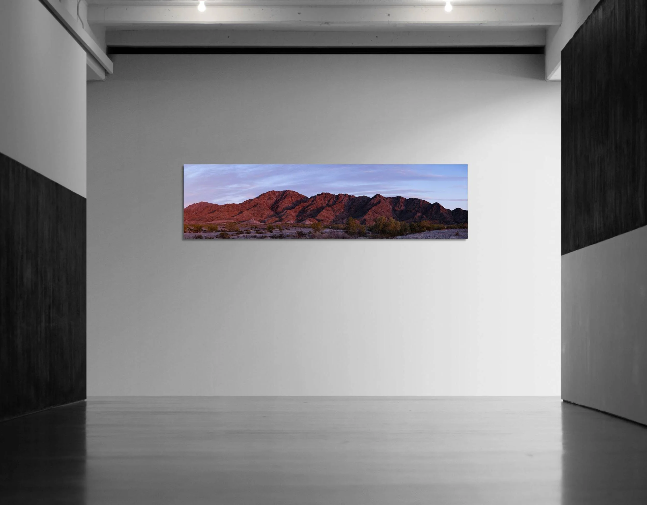 Happys Point Gilas 020523 On Wall A1cr 2500w 050326.jpg