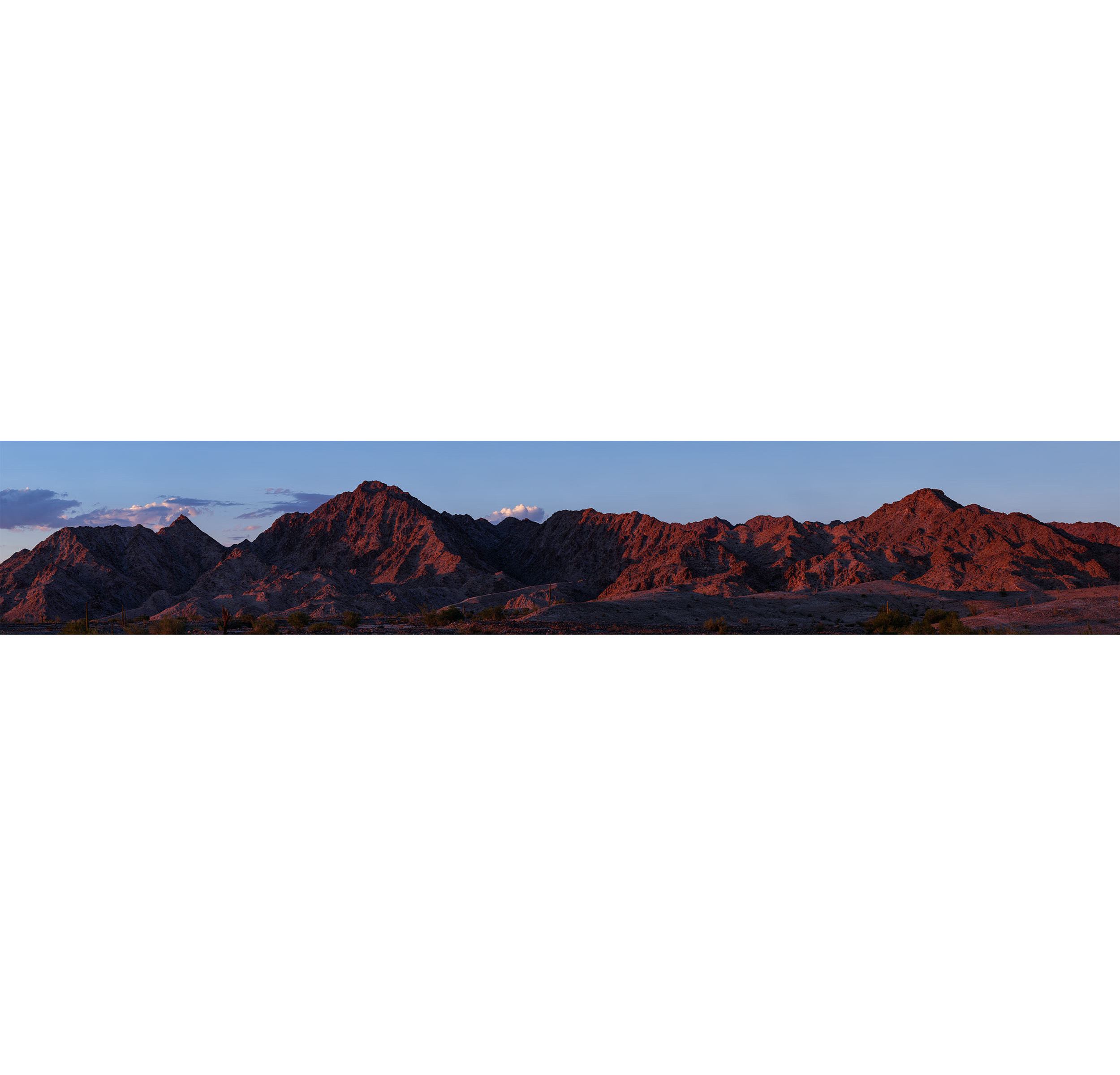 "Blaisdell Red"