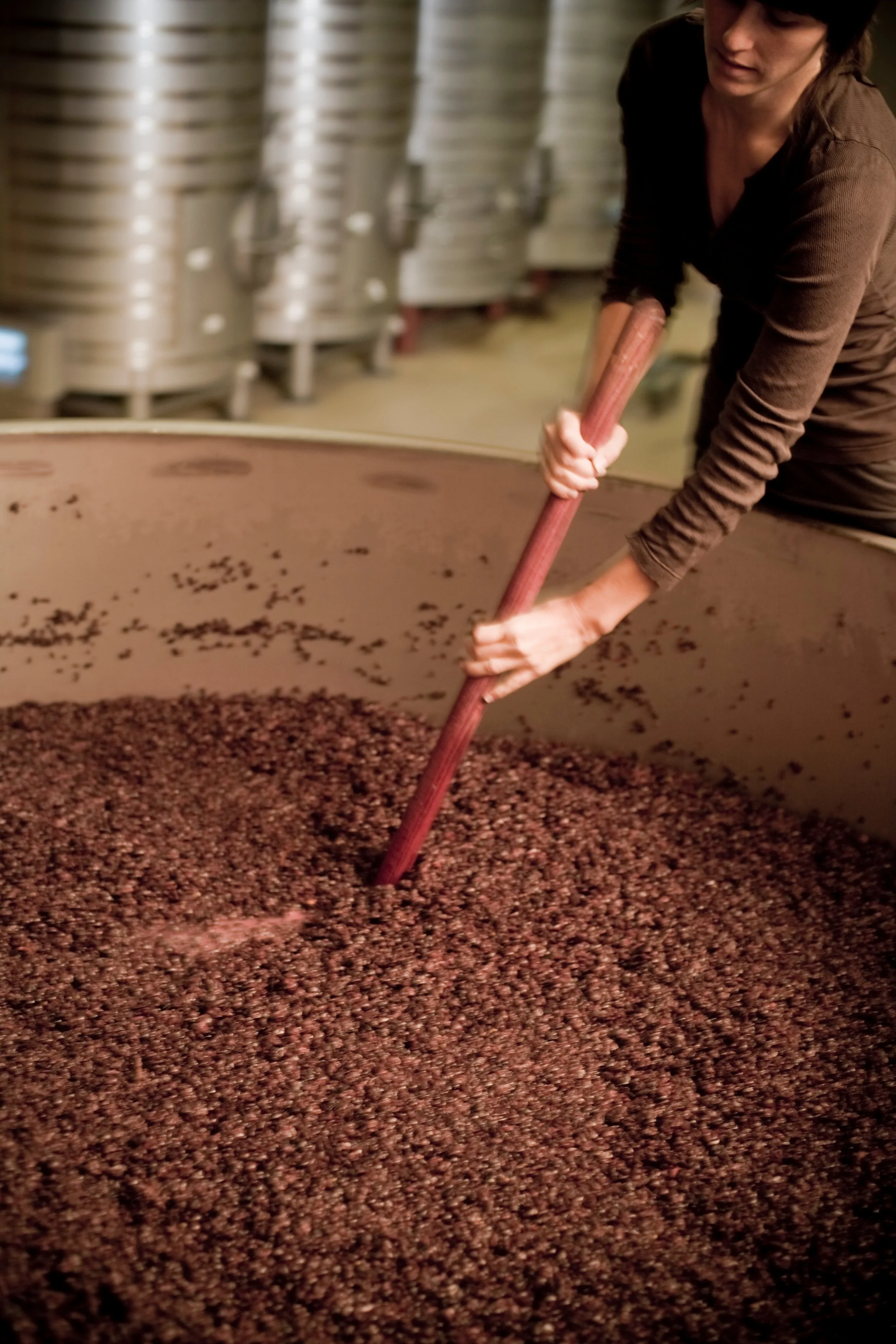 A person stirring a large container filled with red wine grapes in a winery cellar.