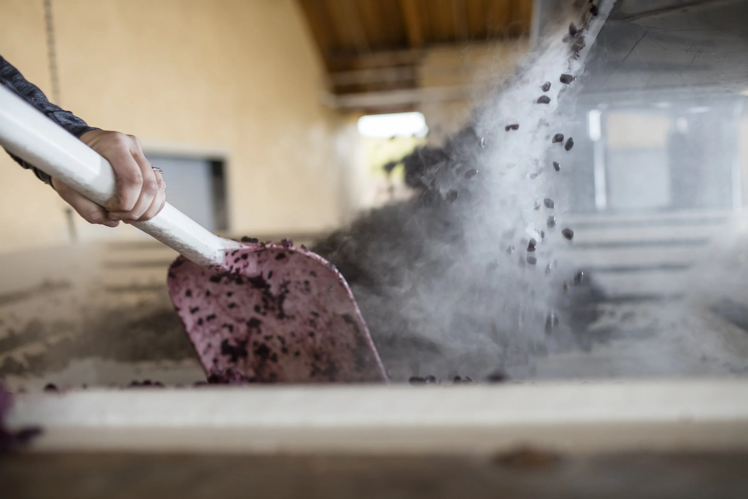 Person scooping coffee beans from a container with a pink speckled scoop