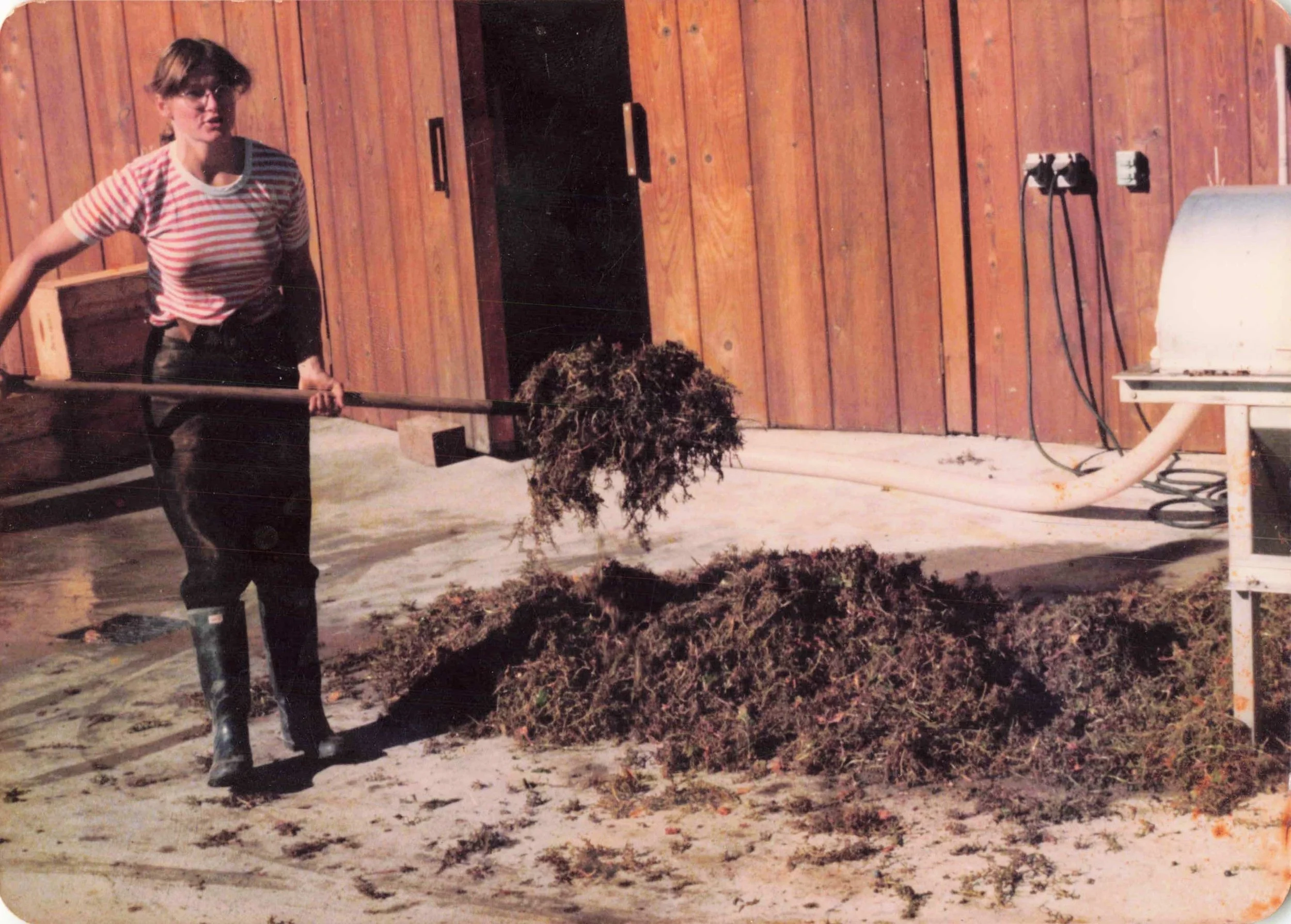 A young person wearing glasses and a striped shirt shoveling leaves outside in front of a wooden wall with a closed door, an outlet, and some electrical cords.