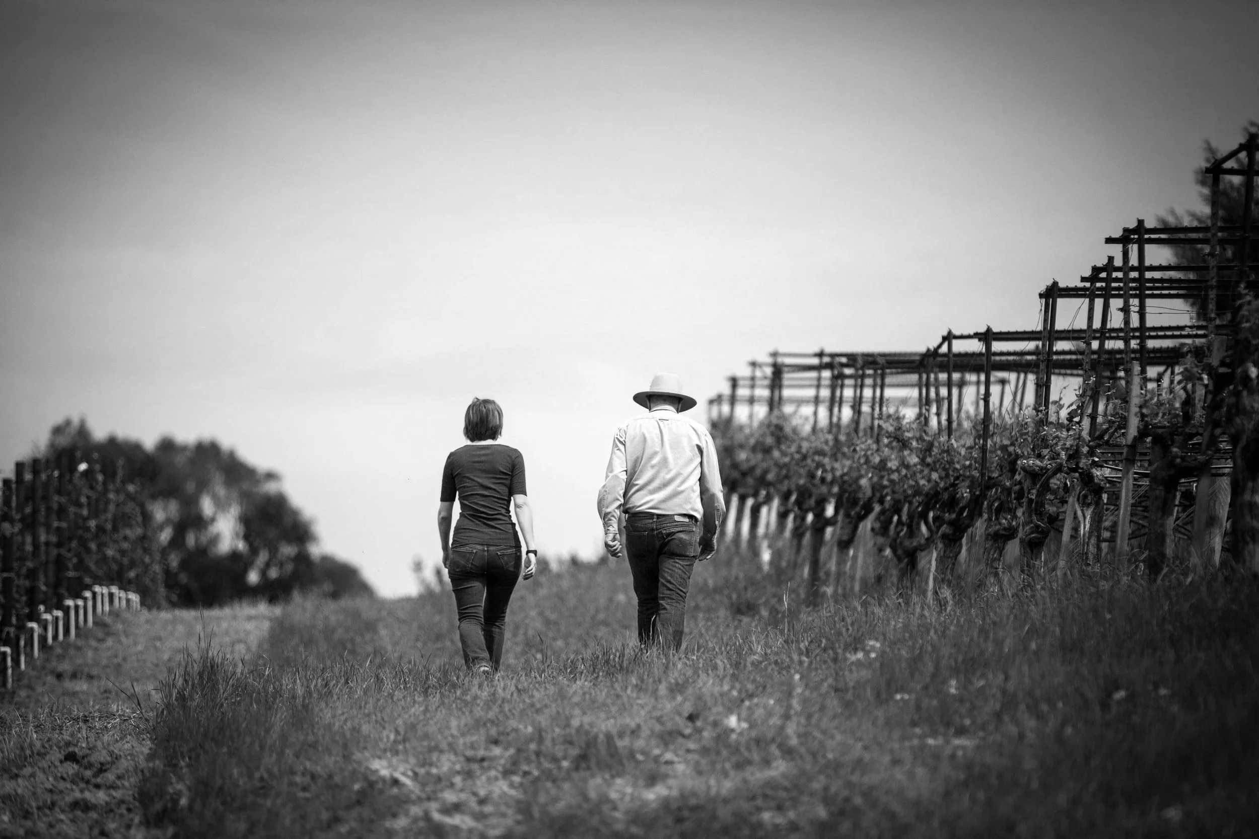 Two people walking in a vineyard, with a clear sky and vineyard trellises on the right side, in black and white.